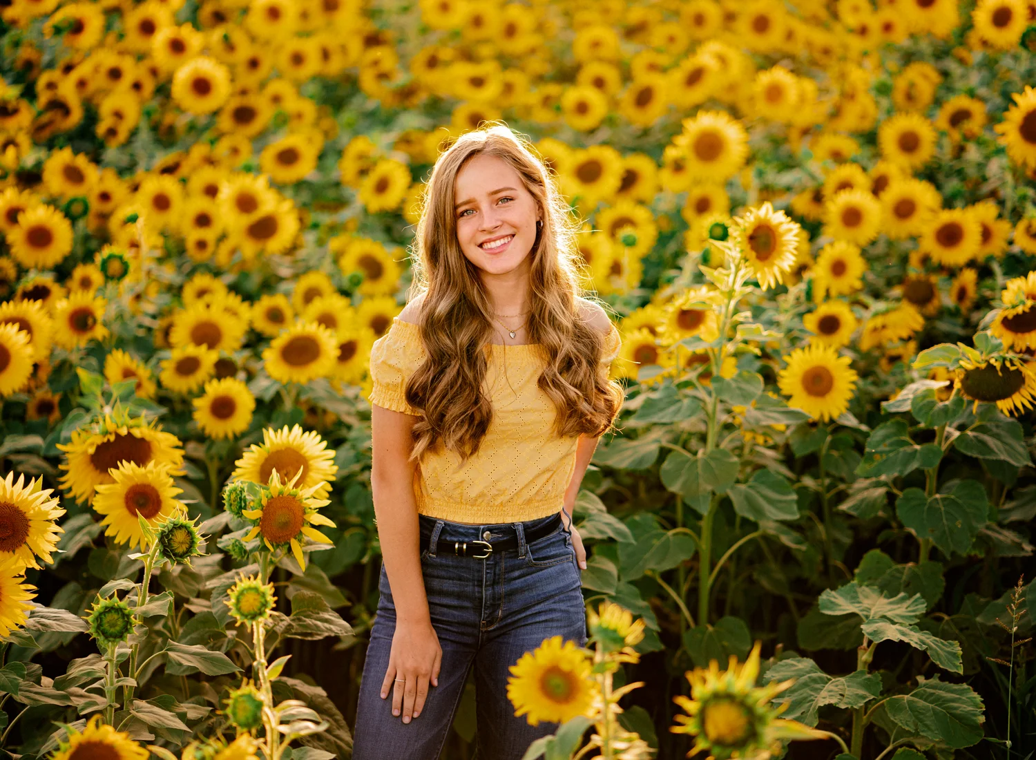 fun portrait of blonde ramstein high school senior girl in yellow croc top and jeans in sunflower fields with natural light at sunset by kmc family photographer sarah havens