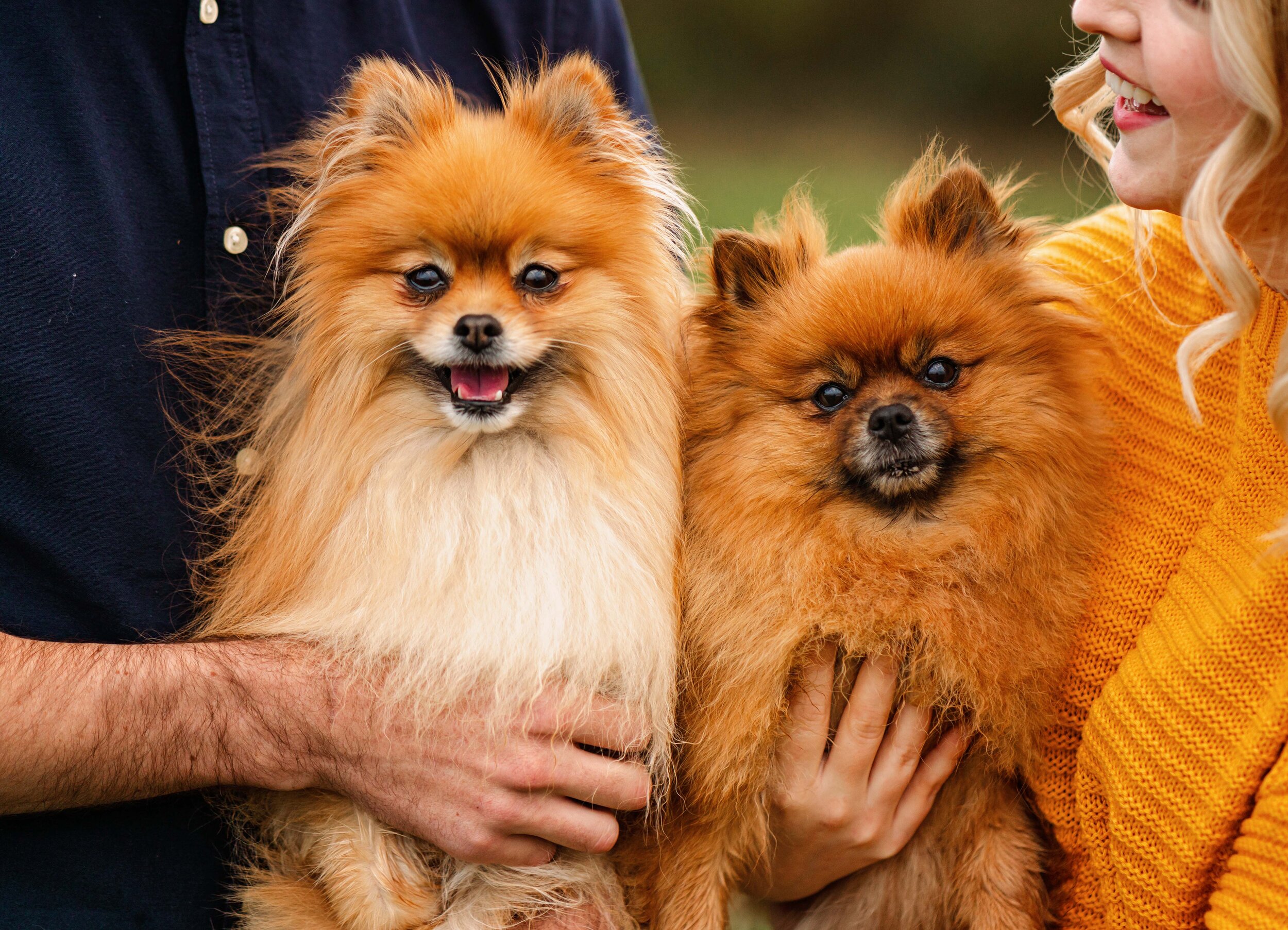Ramstein couple photographer fall session with a view — Ramstein KMC