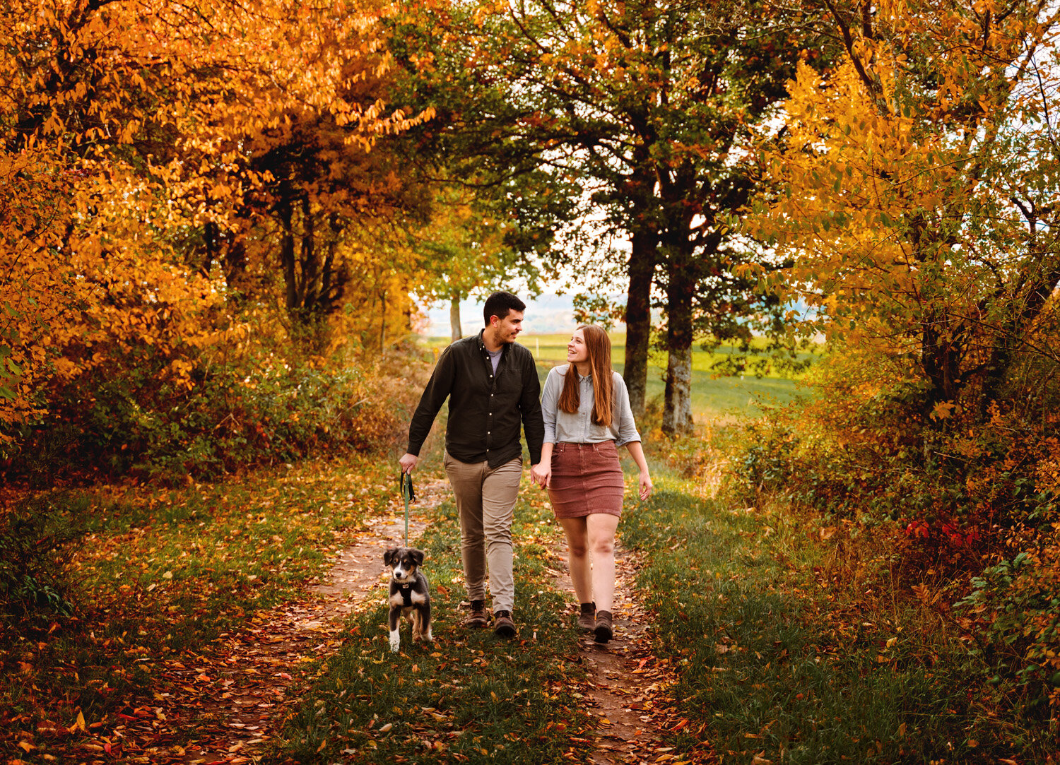  Young couple with new puppy dog enjoying the german country side in fall season with colorful leaves and rolling hills in Schweisweiler near Sembach air base. Photography by kmc engagement and family photographer Sarah Havens, Germany 