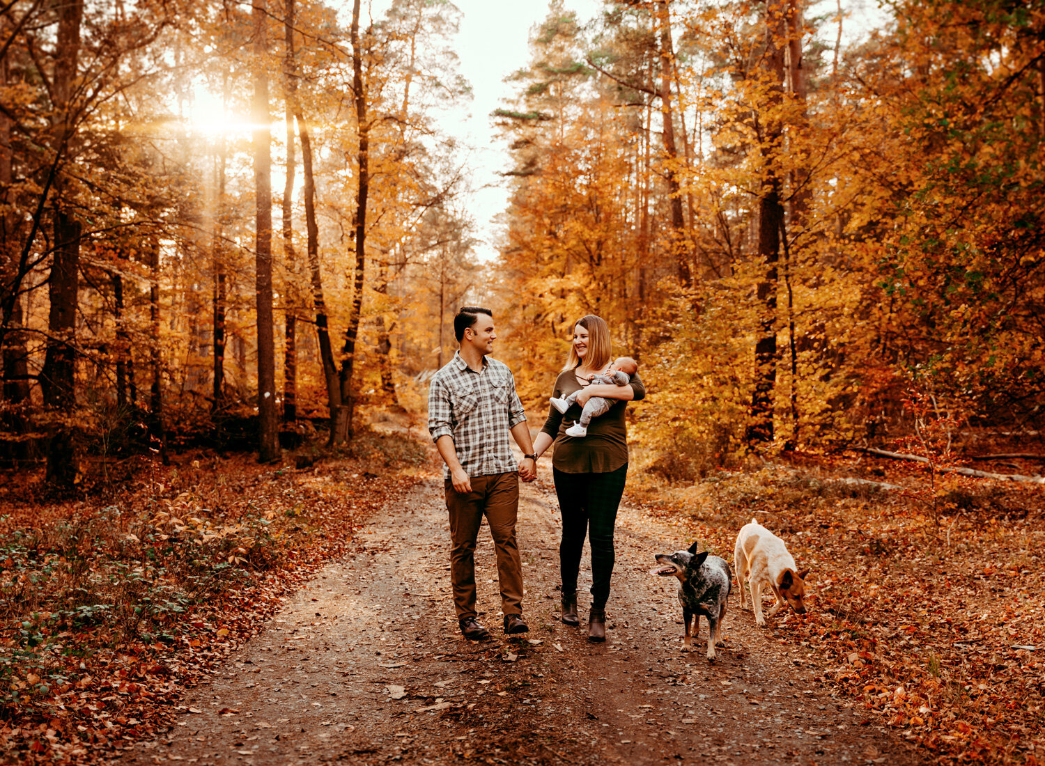 young-family-walking-in-fall-foliage-forest-by-pramstein-photographer-sarah-havens-kmc.jpg