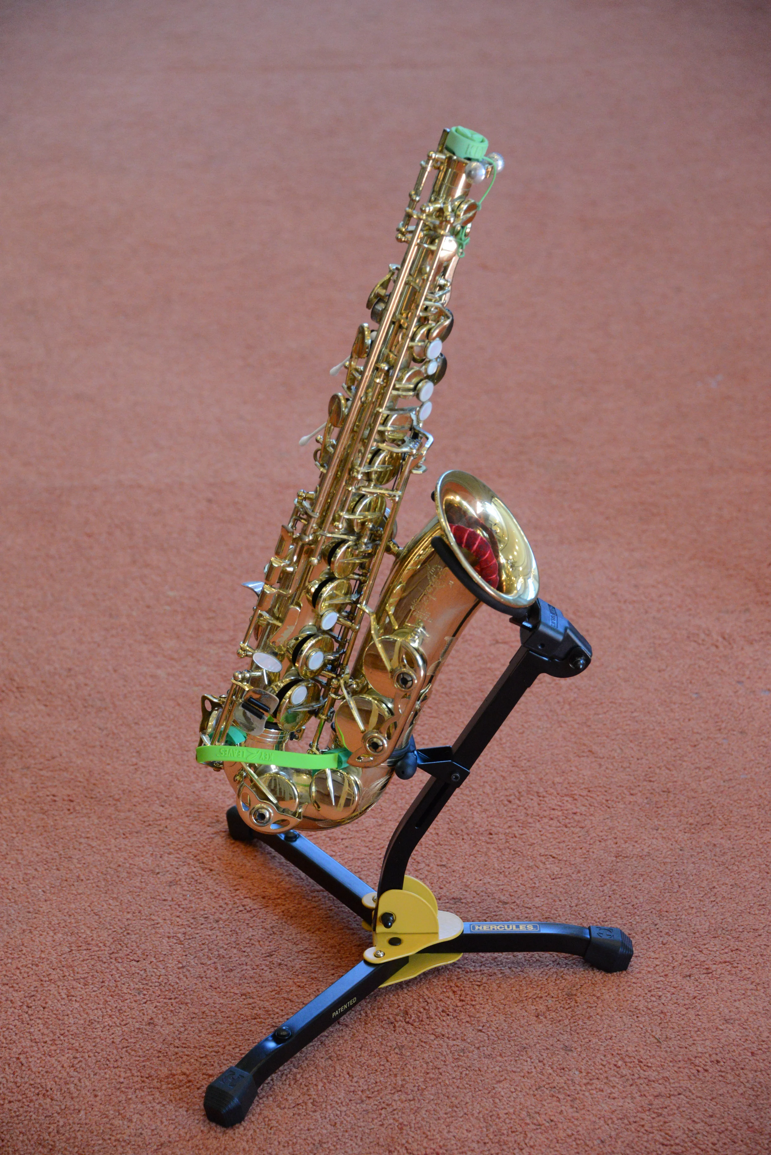 DSC_0069.jpg