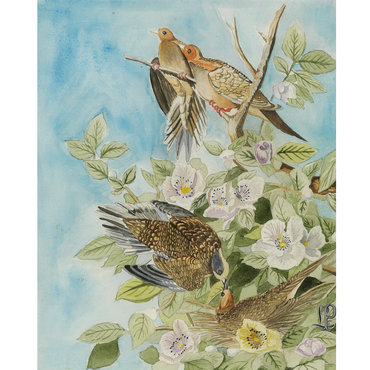 watercolor-spring-birds-best-custom-wedding-invitiations-letter-perfect-santa-babrara.png