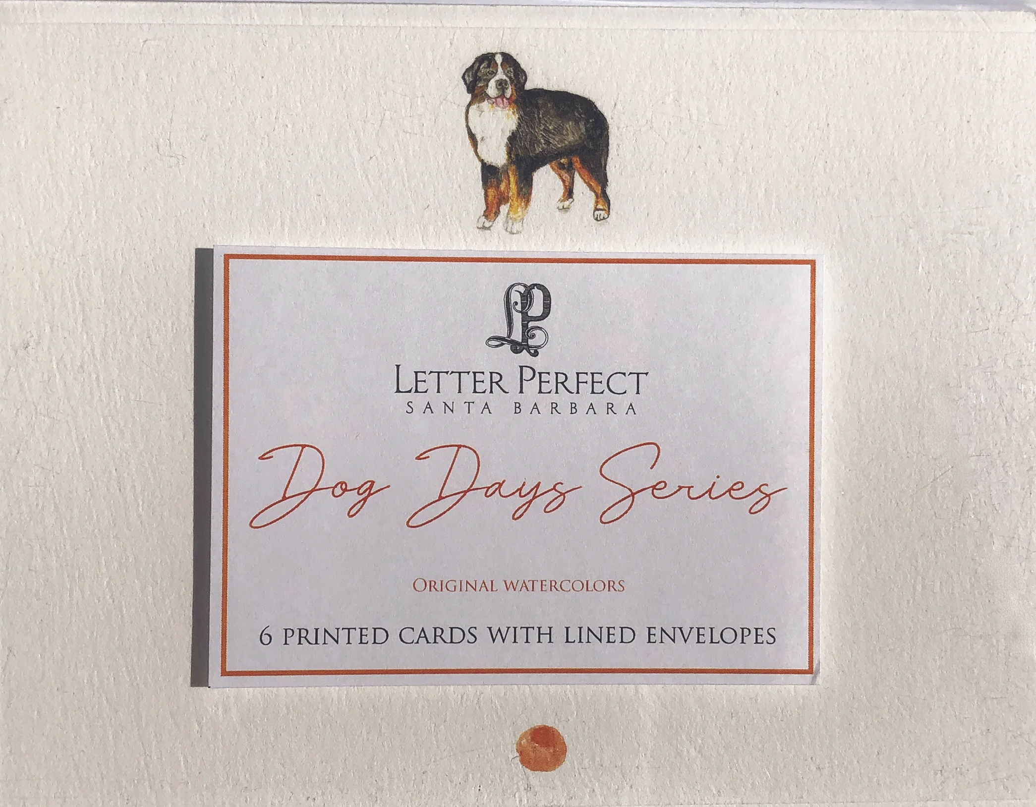 bernese.jpg