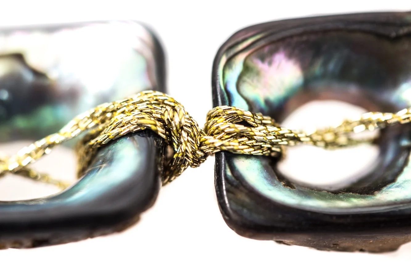 Abalone Tassel Necklace