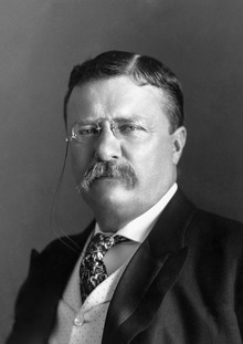 Roosevelt - Dignified Walrus