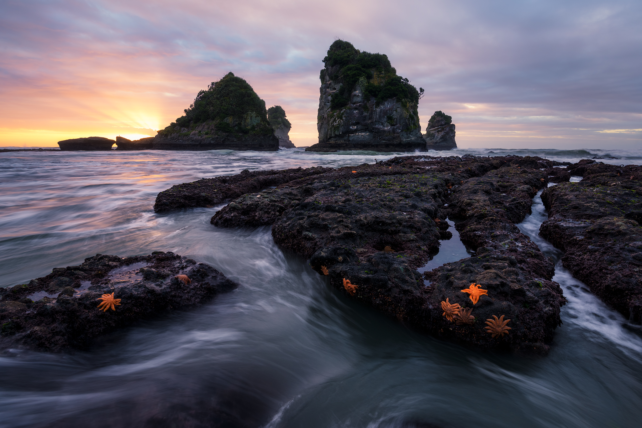 New Zealand