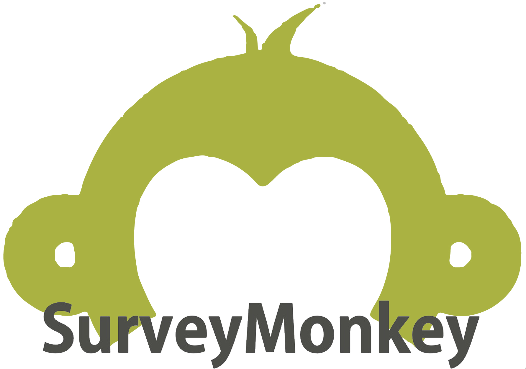 surveymonkey_logo_380.jpg