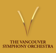 vso-logo.jpg