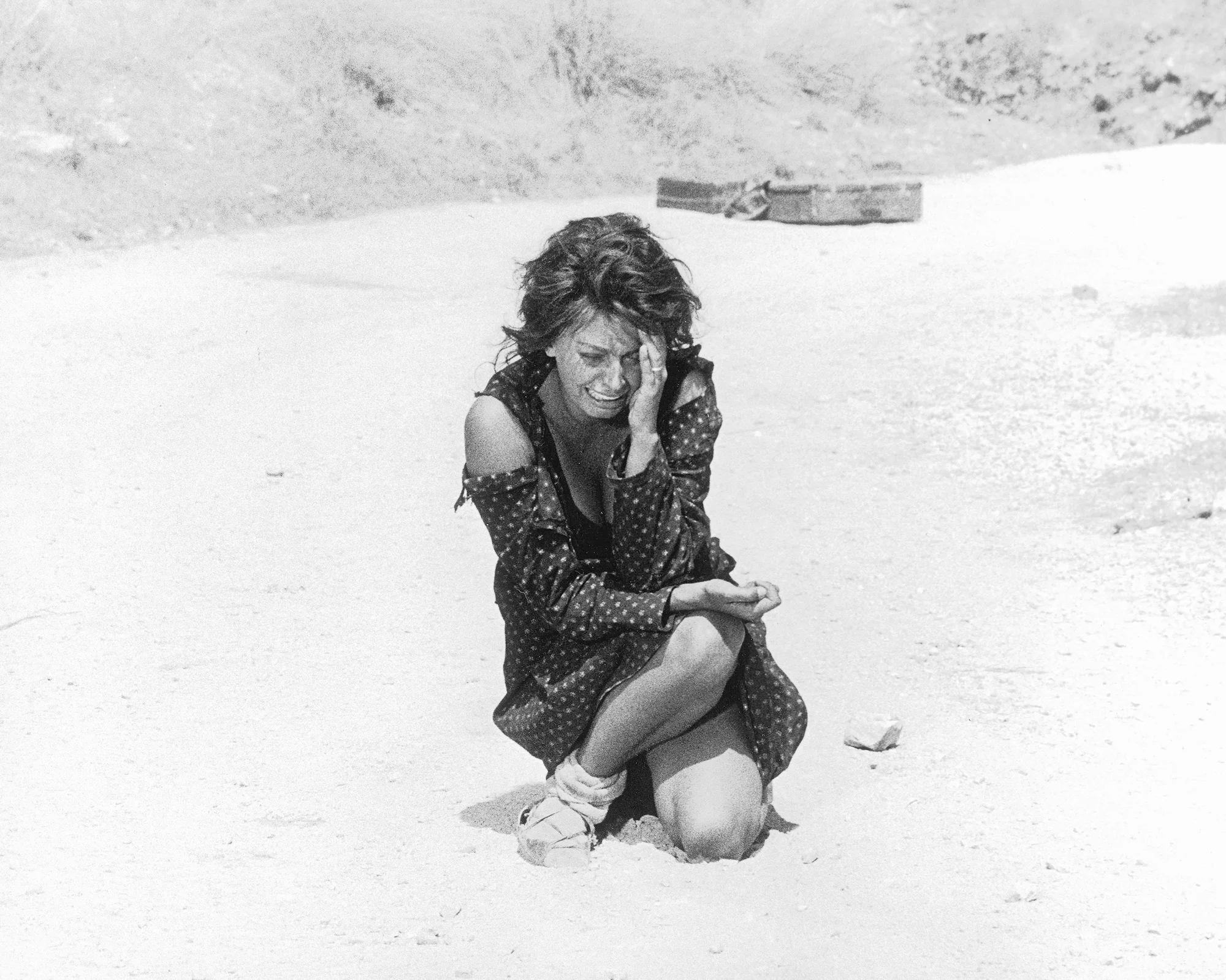 "La Ciociara" (Two Women, 1960 ) 11:30am