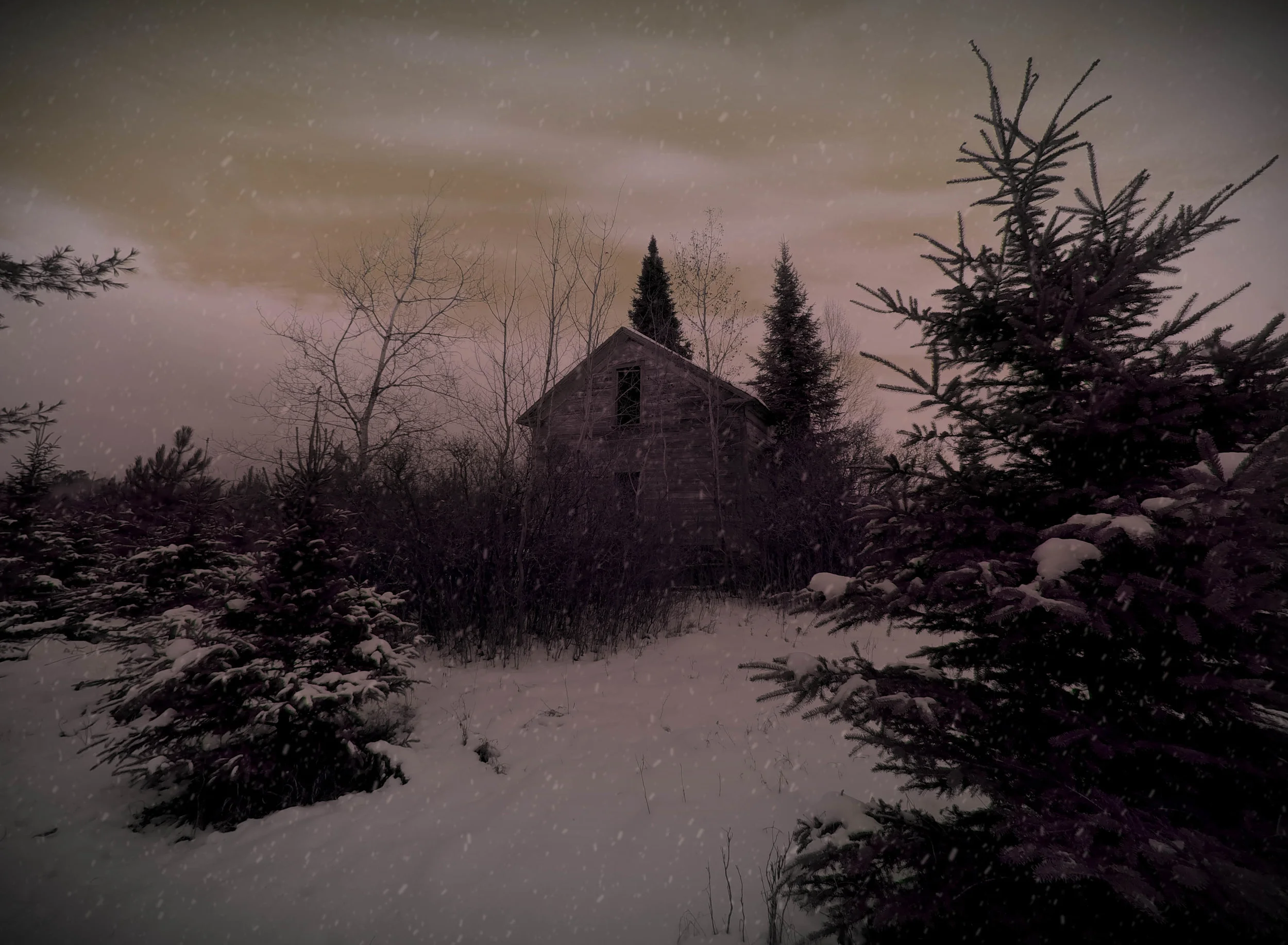 WebsiteHomepage [f0054](2) copy.jpg