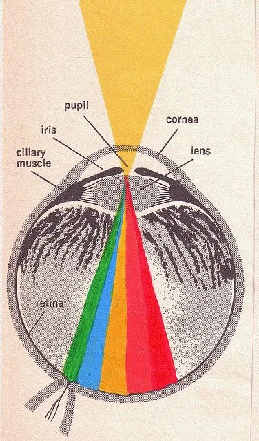 retro-illustration.jpg