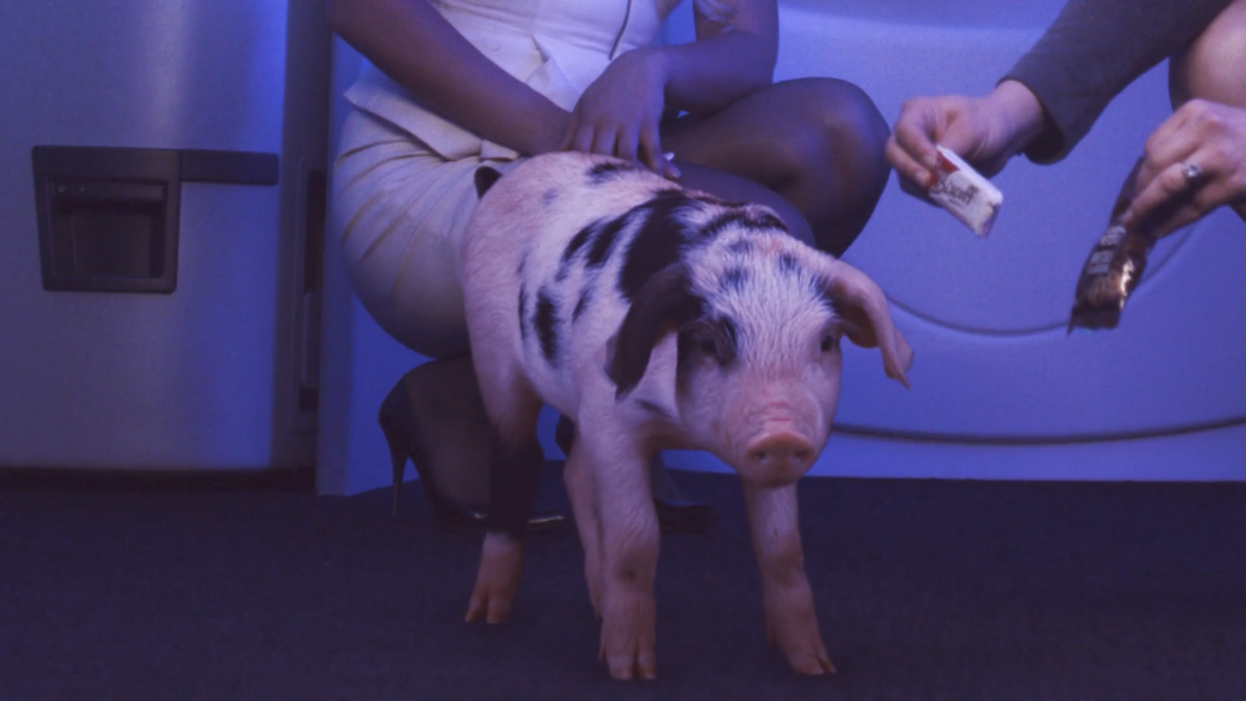 WestJet: April Fools' Day 2019