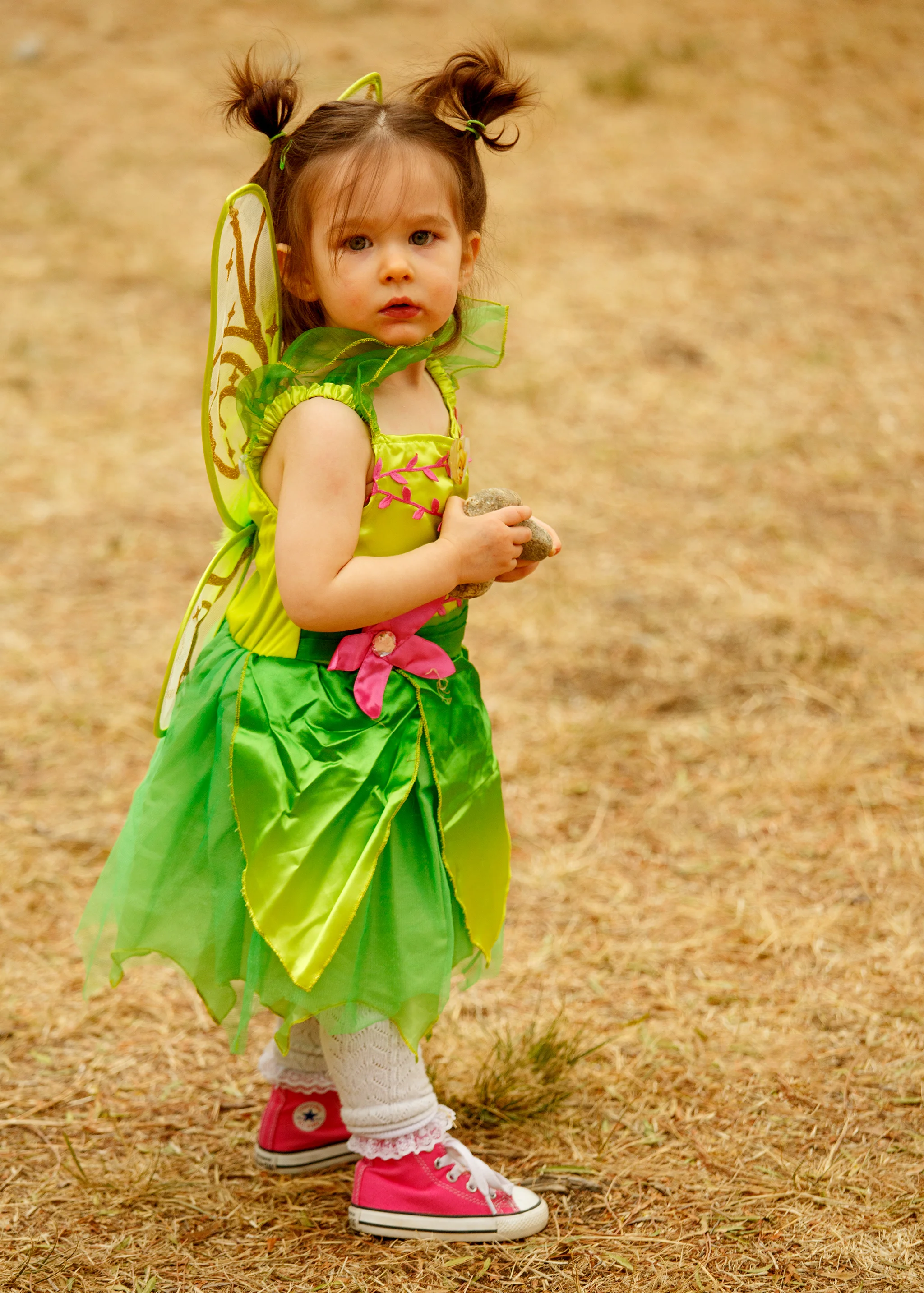 The Littlest Fae