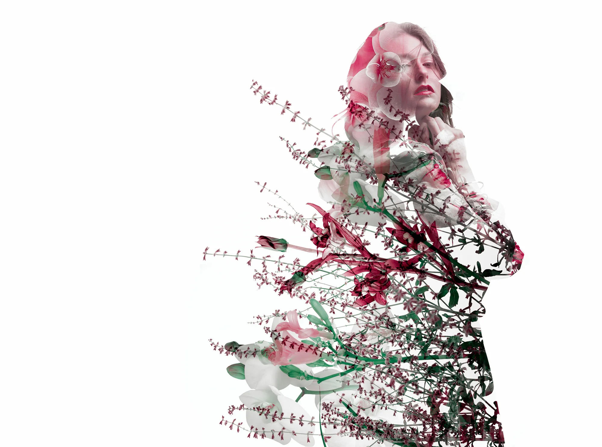 floral-III.jpg