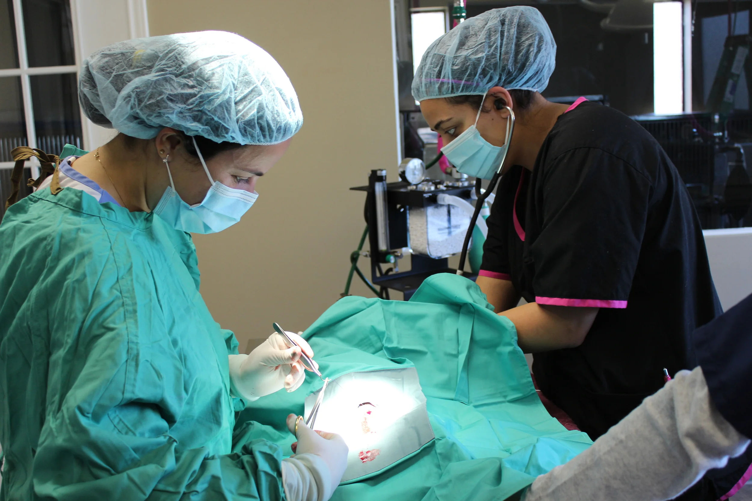 Routine surgery at Panda.JPG