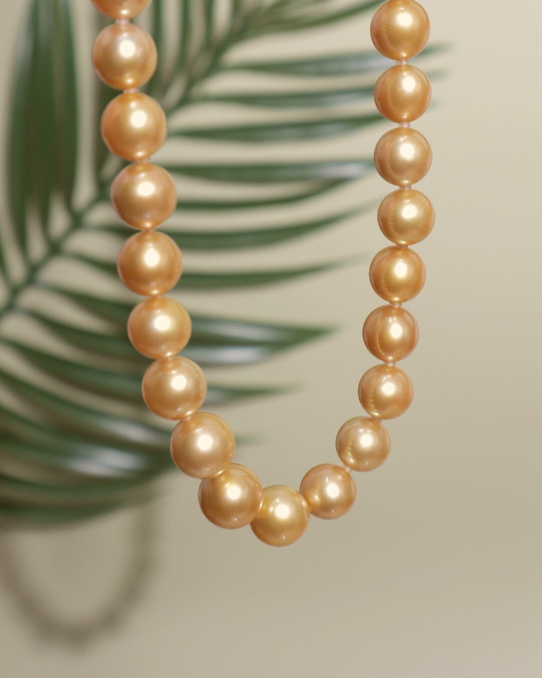 Pearl is valued based on five attributes: Size, Shape, Complexion, Colour, and Lustre. Check yours now on one of our stores!

#DEPEARL #DPGold #DPNecklace #DPRound #pearl #southseapearl #southsea #jewelry #pearljewelry #indonesianjewelry