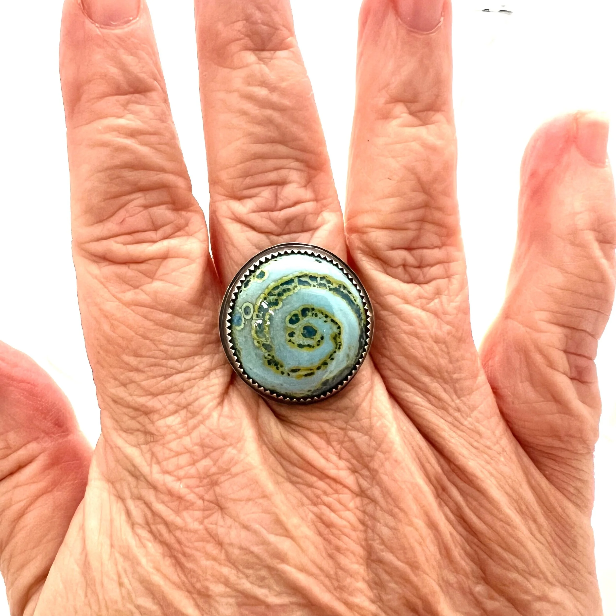 490FDC75-F90B-4473-AF57-CAB48E2EC530