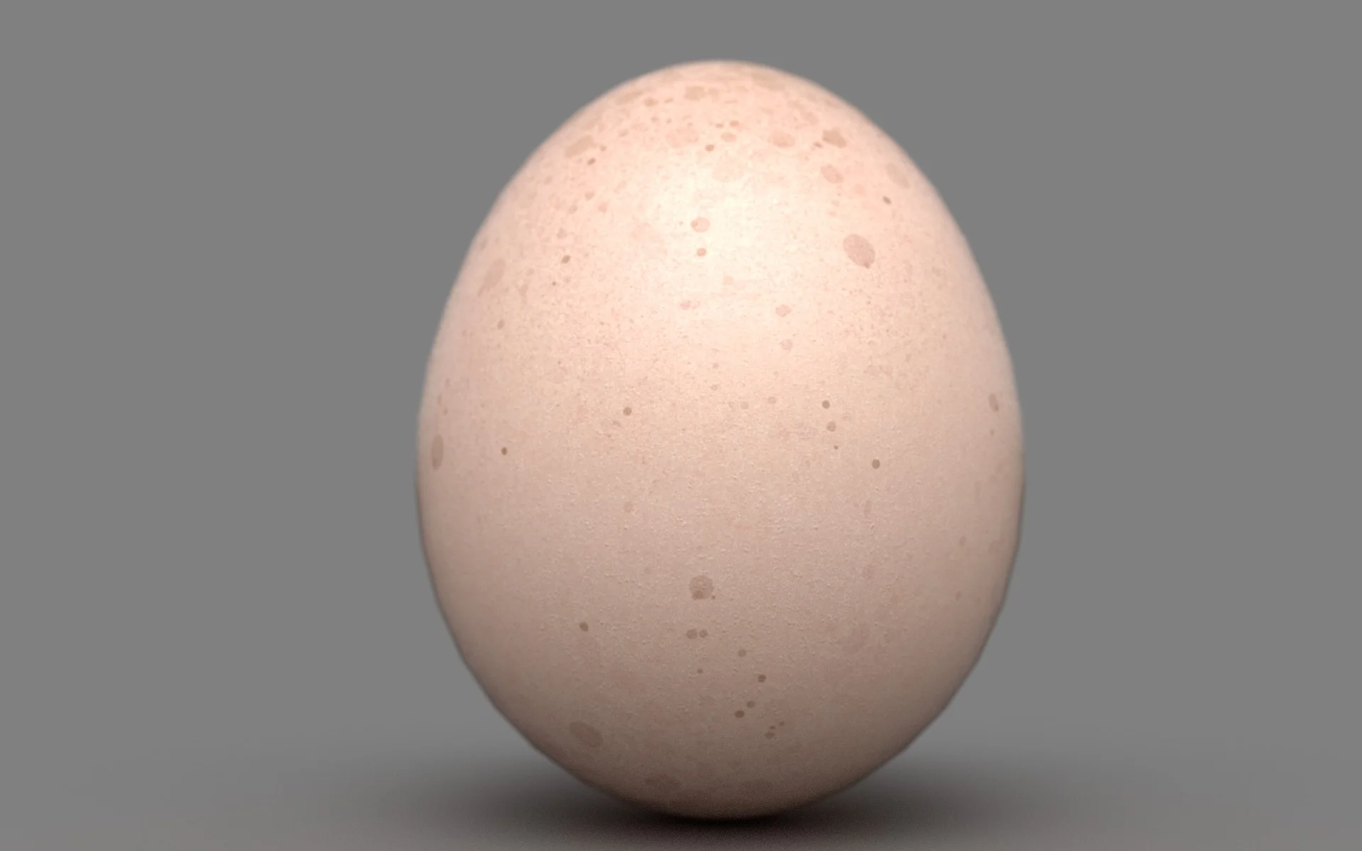 Egg