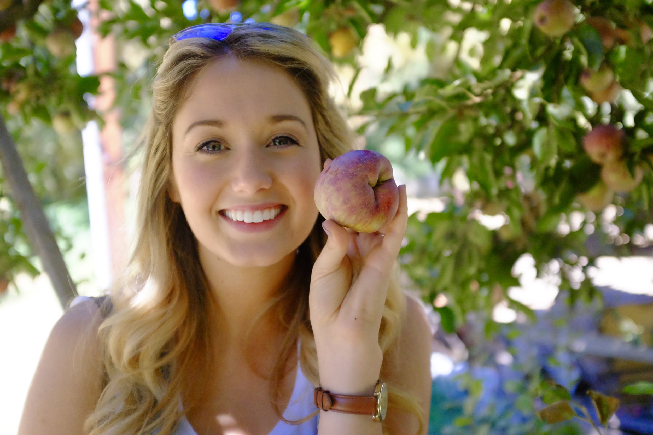 Apple Picking at Riley's Apple Farm, Yucaipa CA | Kaci Nicole