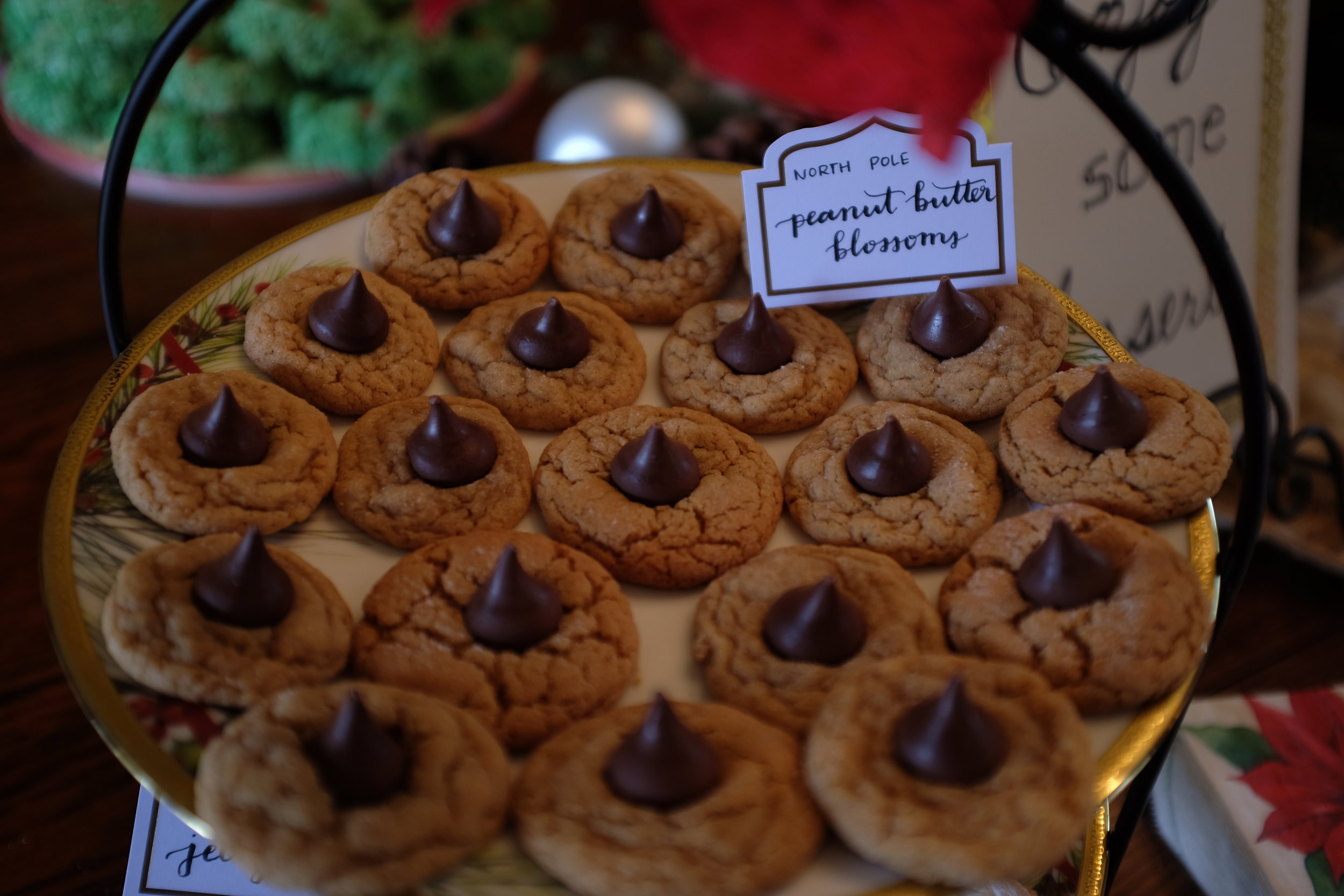 Kaci Nicole - Christmas Party - Peanut Butter Cookies