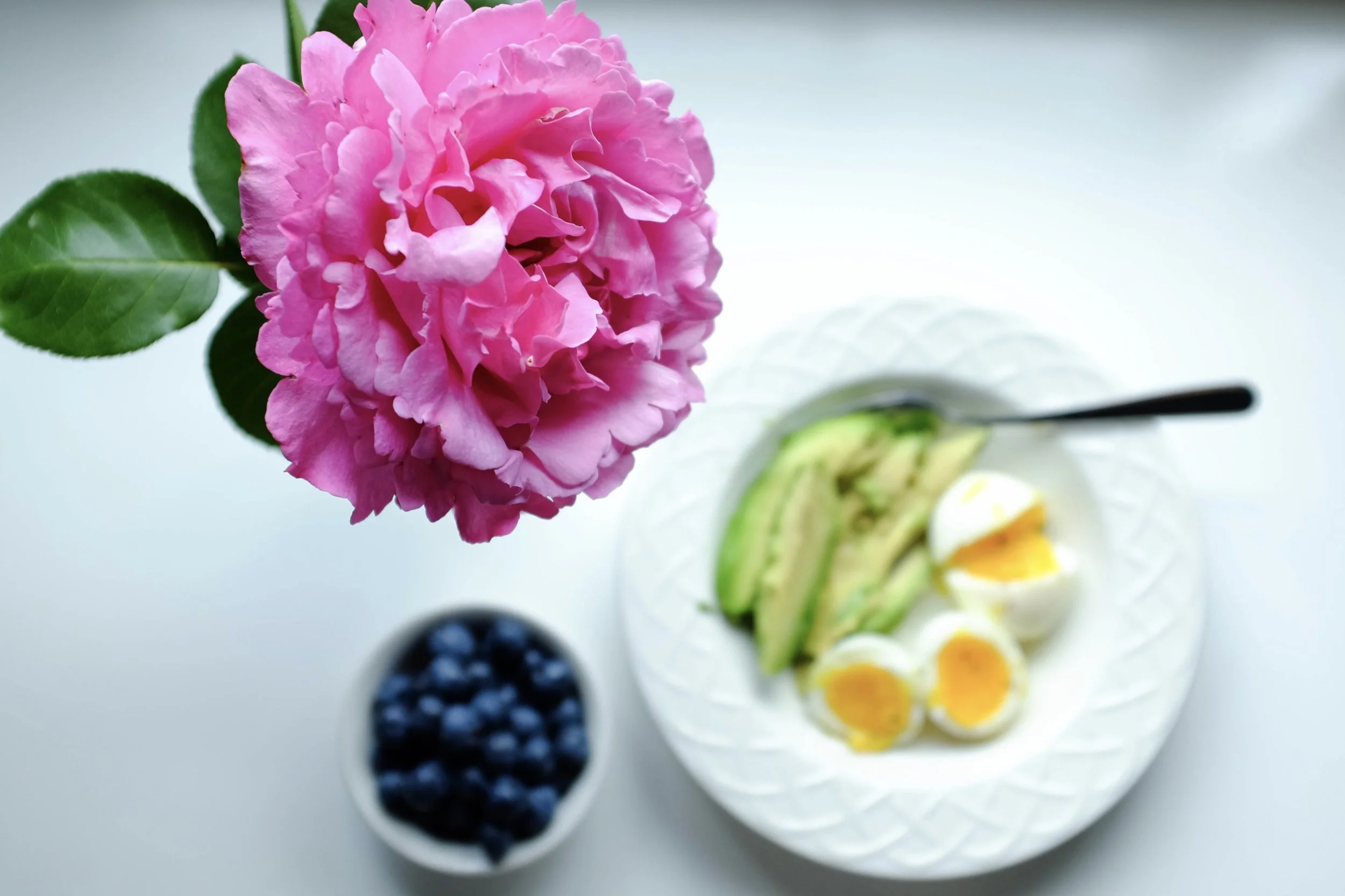Kaci Nicole - What I Eat In A Day