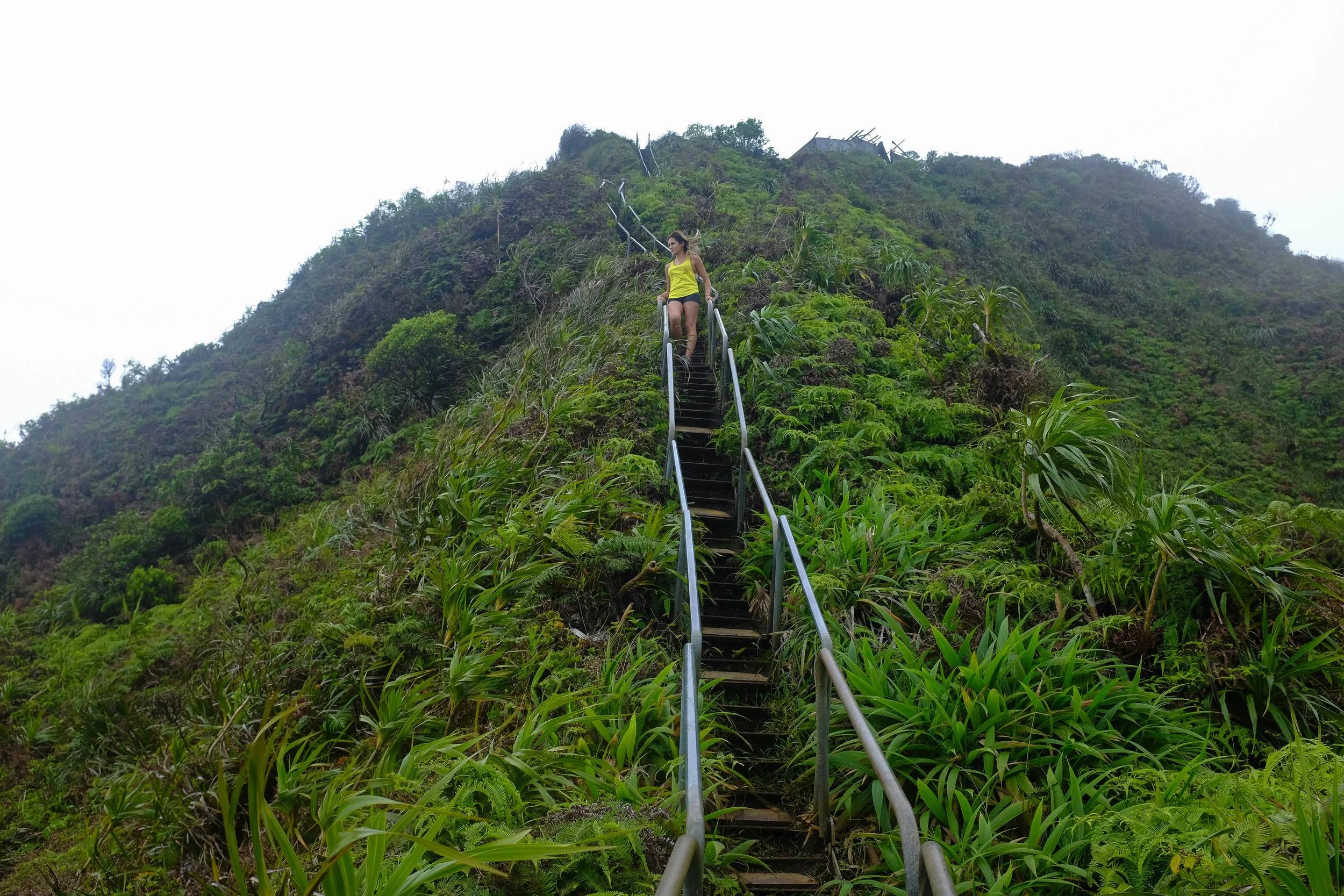 Stairway To Heaven - 13 Things To Do On Oahu | Kaci Nicole
