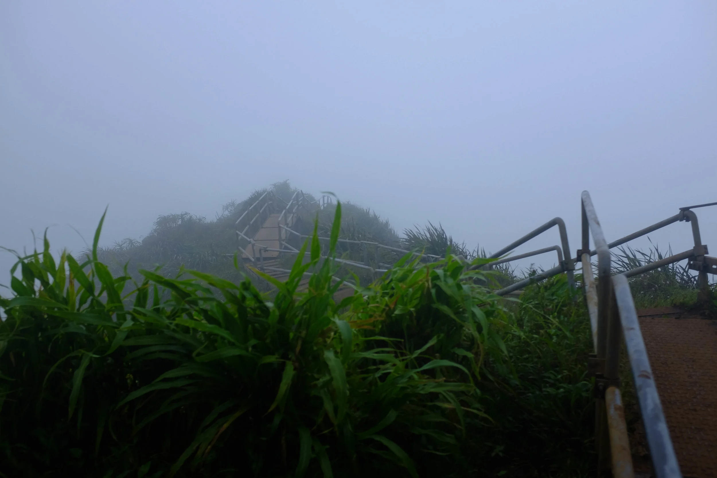 Stairway To Heaven - 13 Things To Do On Oahu | Kaci Nicole