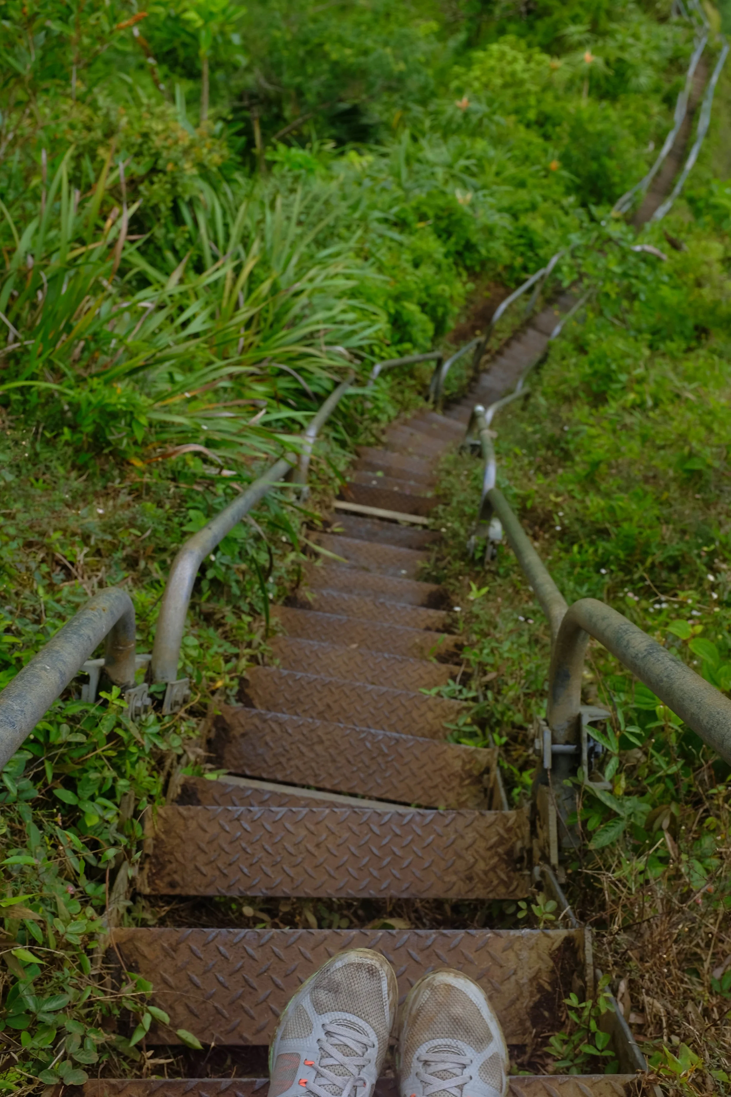 Stairway To Heaven - 13 Things To Do On Oahu | Kaci Nicole