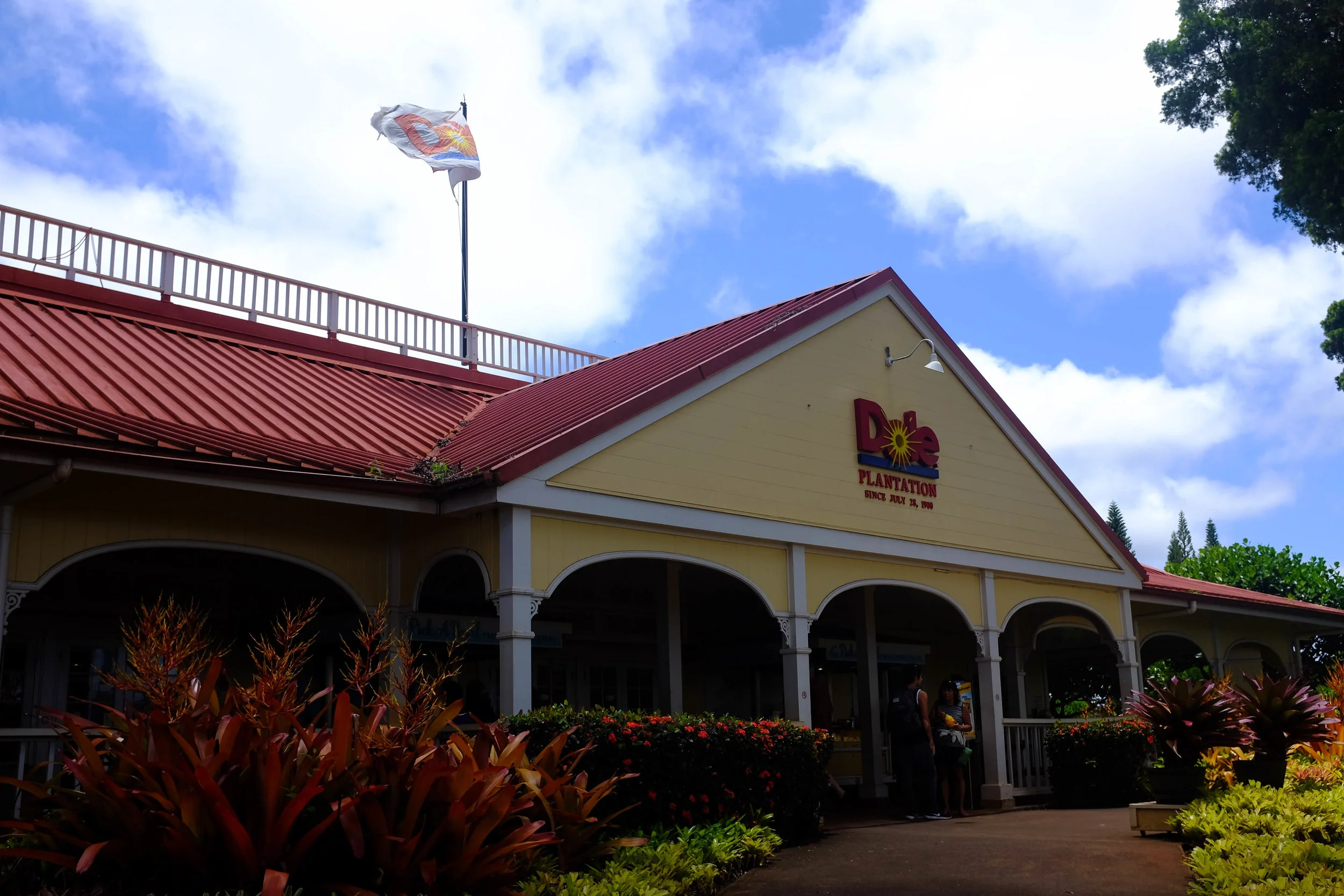 Dole Plantation - 13 Things To Do On Oahu | Kaci Nicole