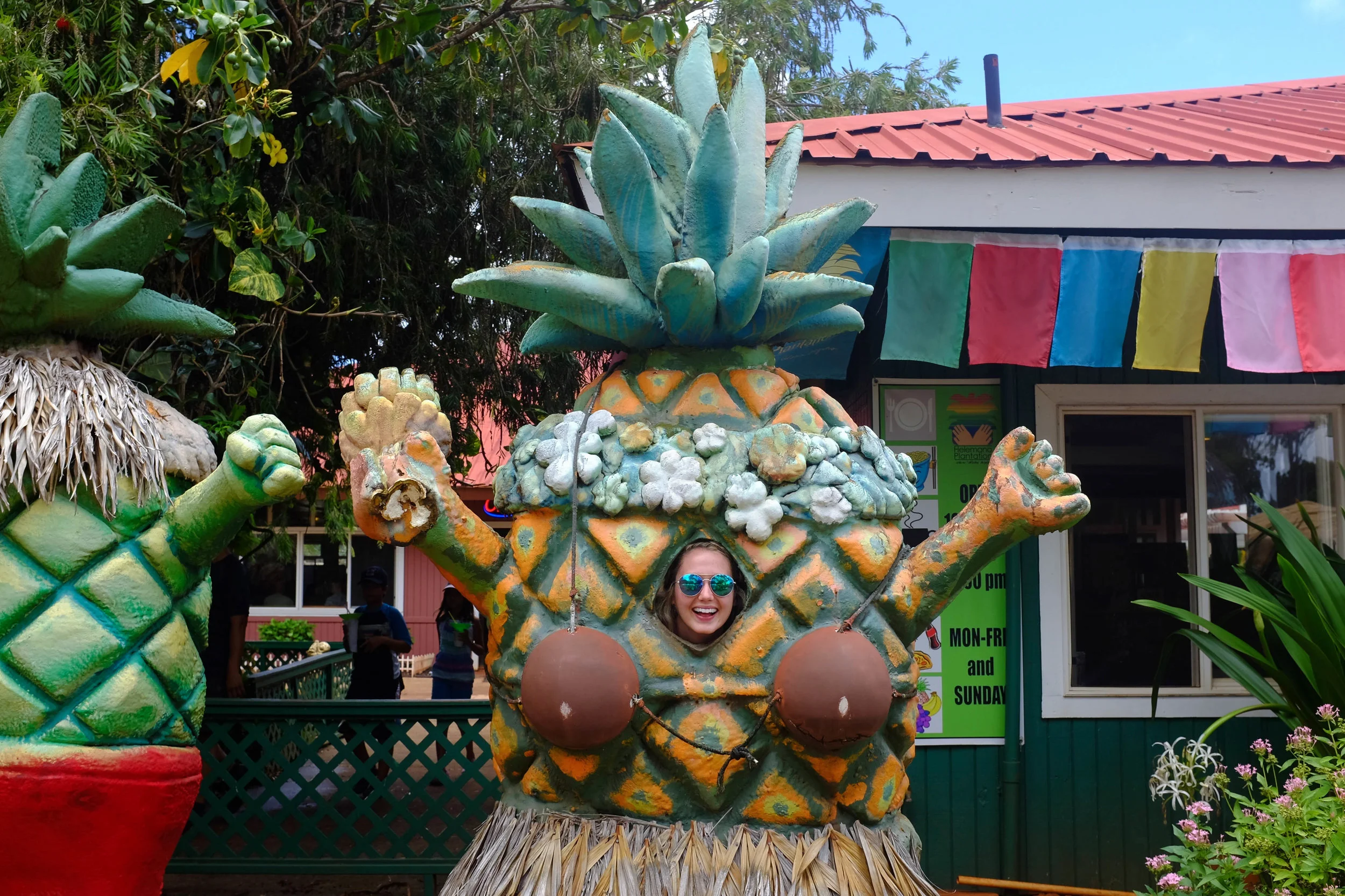 Dole Plantation - 13 Things To Do On Oahu | Kaci Nicole