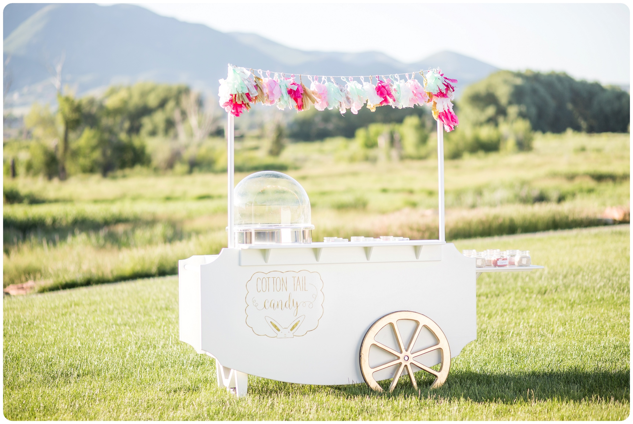 Cotton Candy for your wedding reception