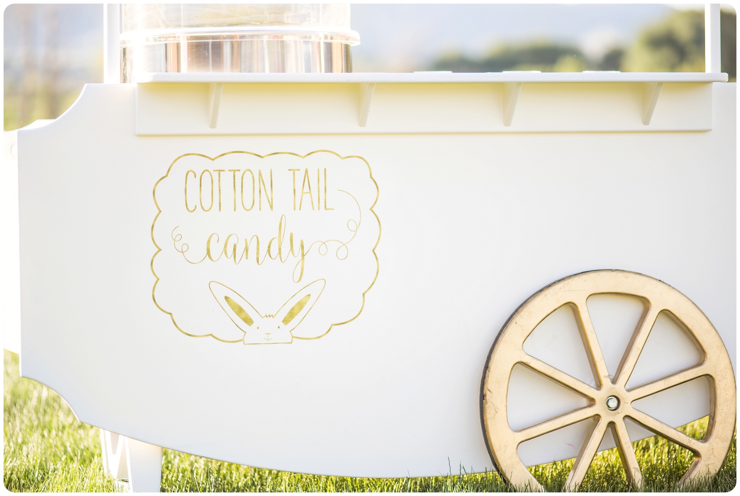 Cotton Candy for your wedding reception