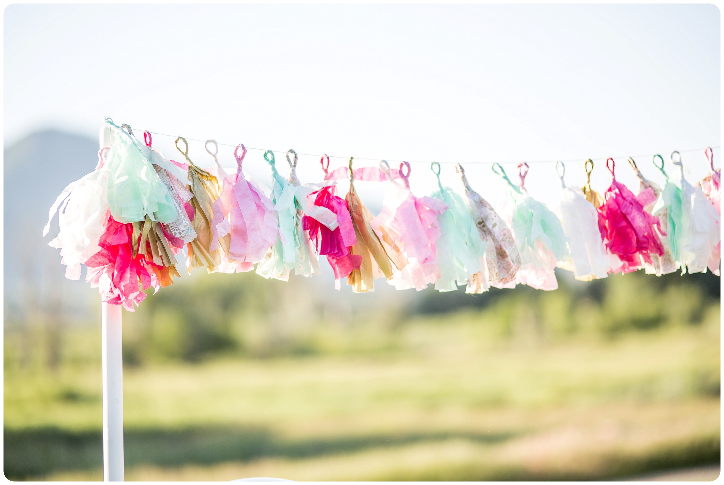 Cotton Candy for your wedding reception