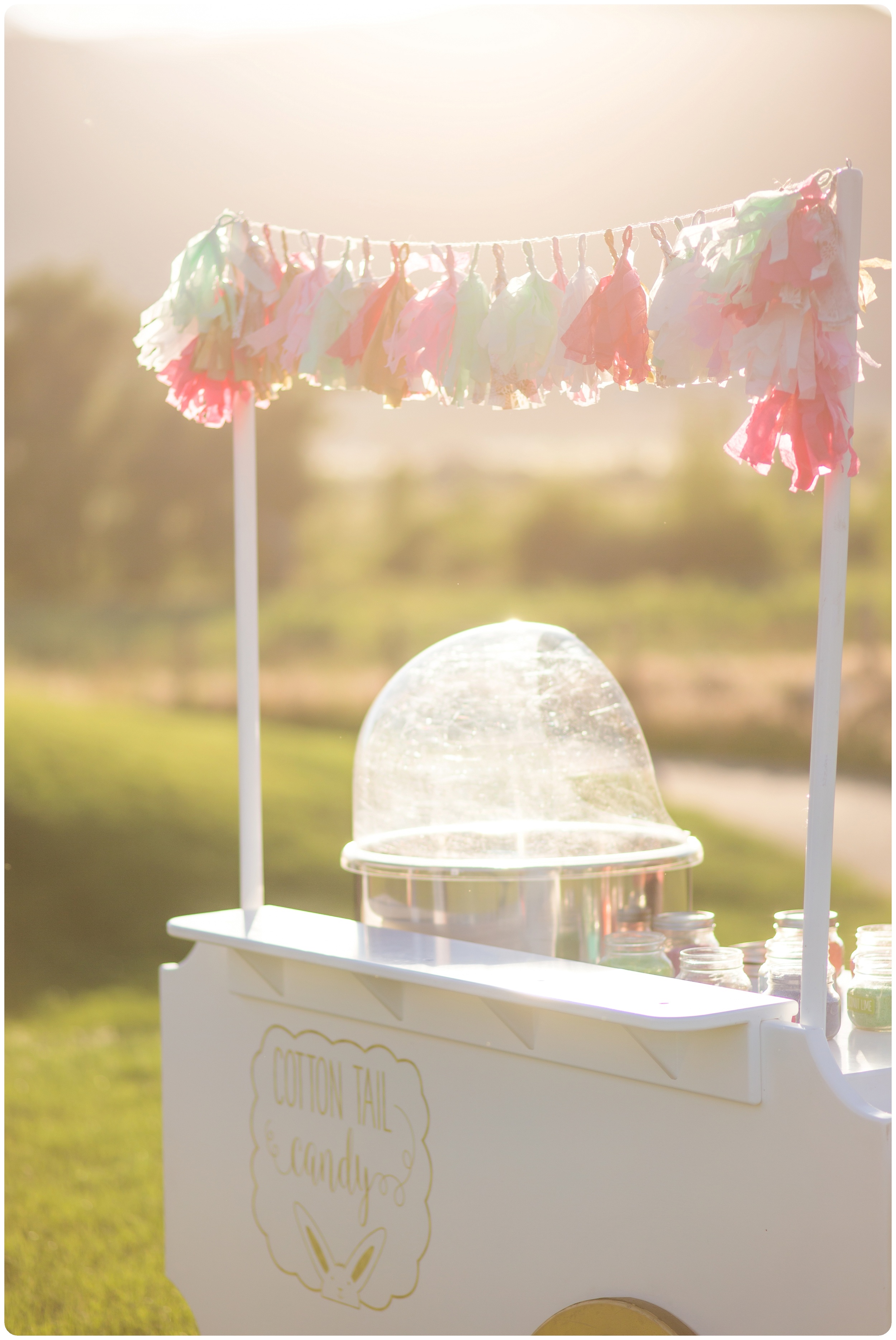 cotton candy wedding vendor