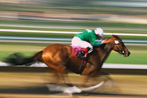 BIG BANG THEORY - (Comedy) A wannabe jockey goes to extreme lengths to get semen from a champion race horse in his care so he can raise the money to cryonically preserve his mama.