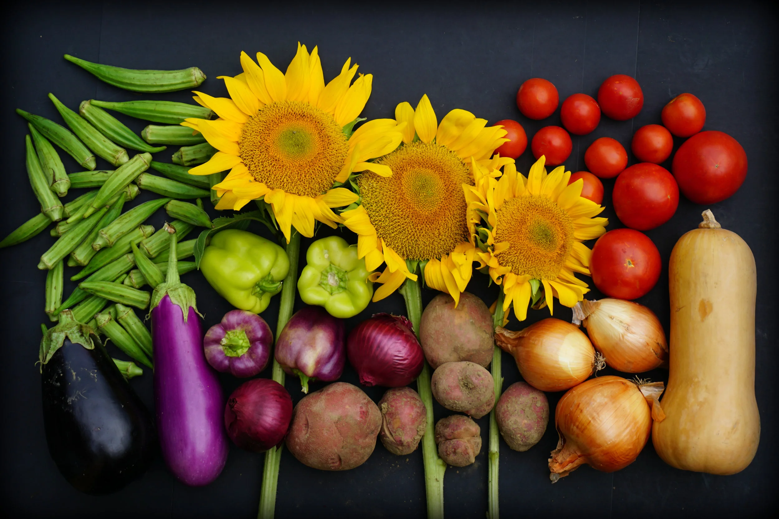 Taste the rainbow (from left to right): okra, eggplant, bell peppers, red onions, potatoes, sunflowers, yellow onions, slicing tomatoes, Campari tomatoes and butternut squash.