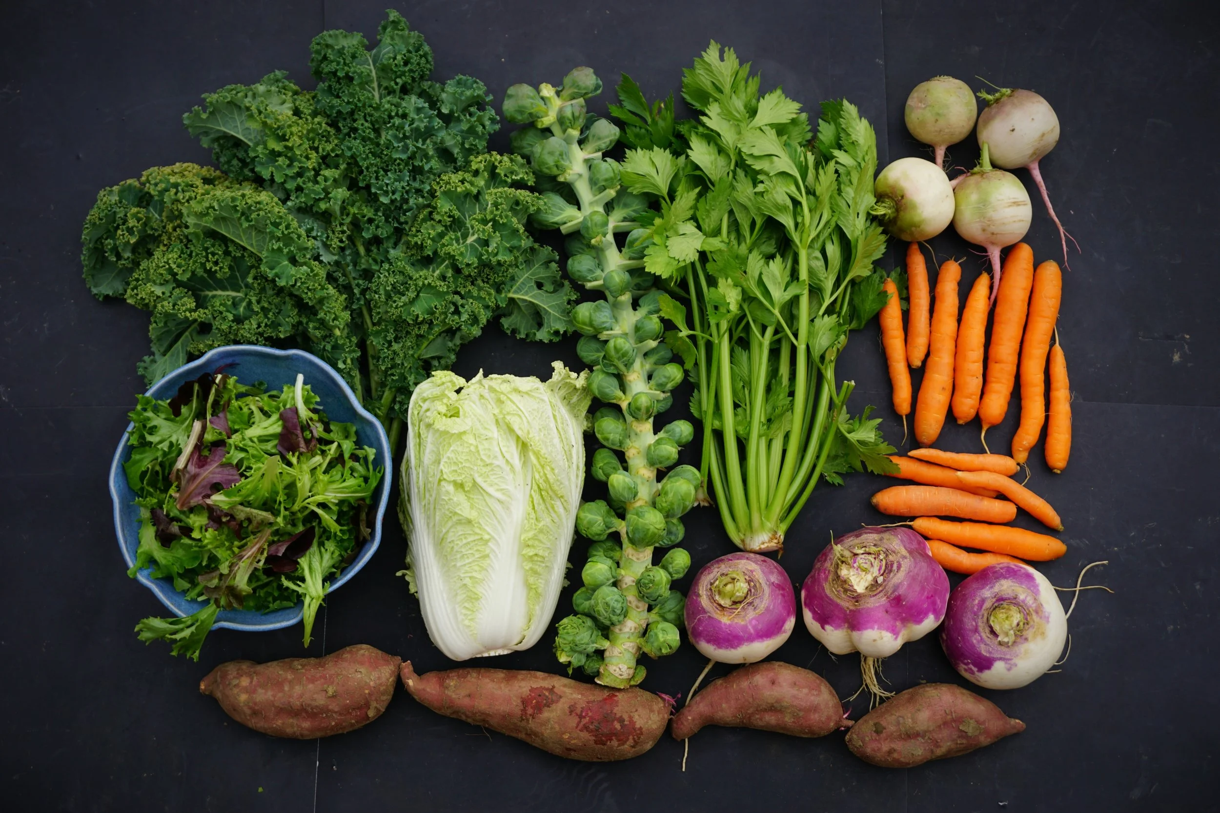 Clockwise, from top left: curly kale, Brussels sprouts, celery, watermelon radishes, carrots, turnips, sweet potatoes, Napa cabbage, and baby lettuce spring mix.