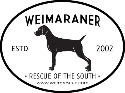 car decal opt 3.png