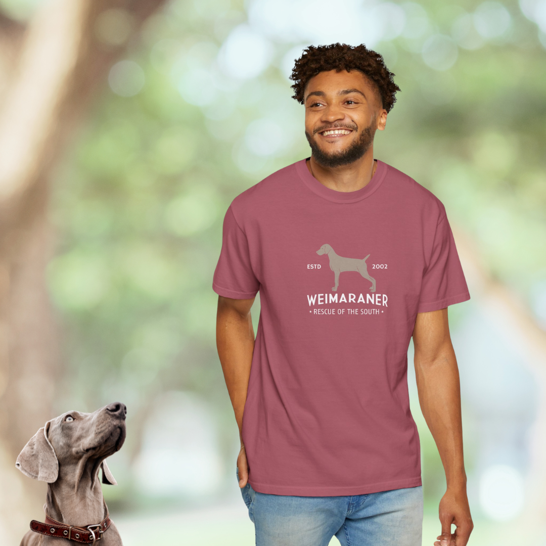 a035838933e2b5174e03b1427288f241