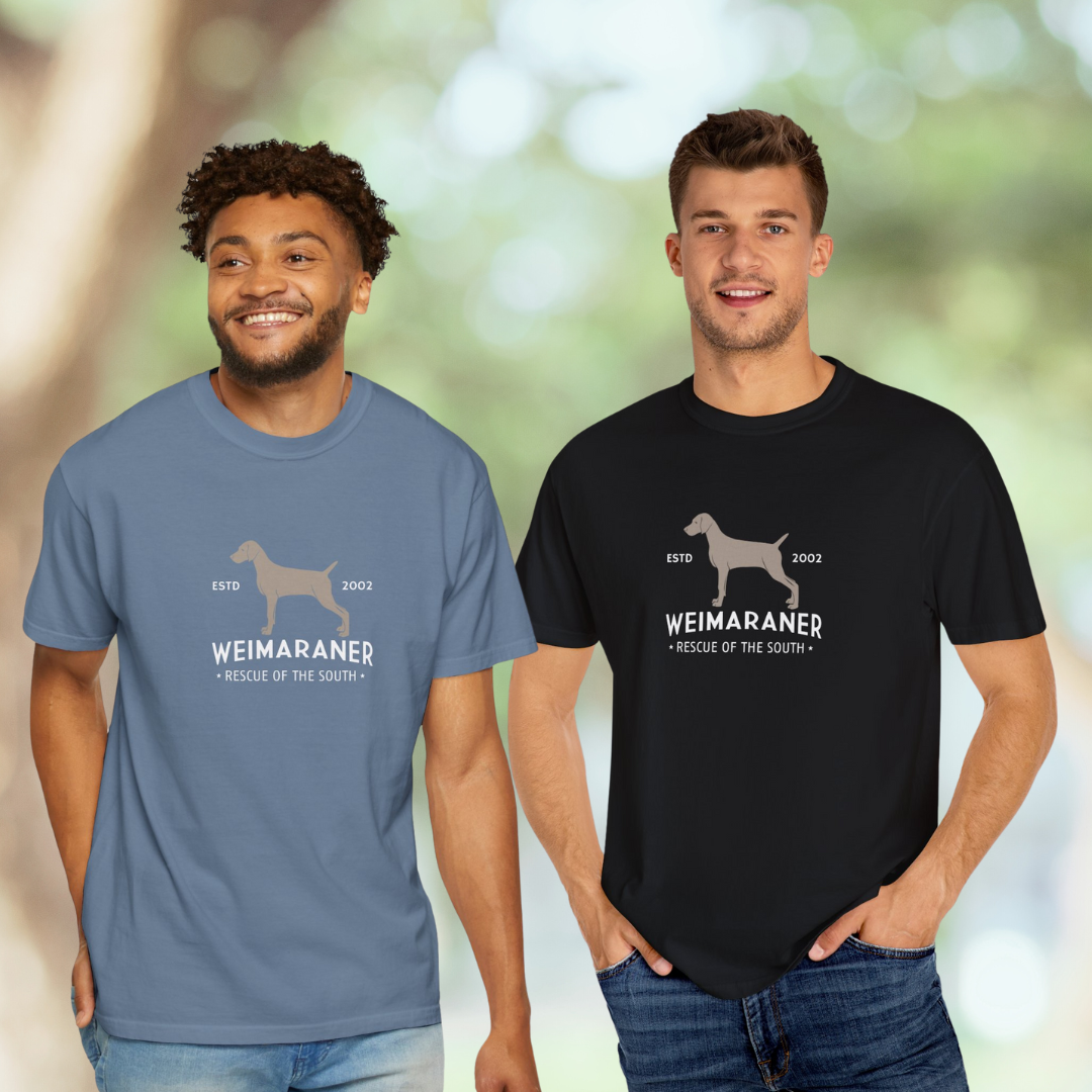 00ad36f9ce708353920d9346a2af6813