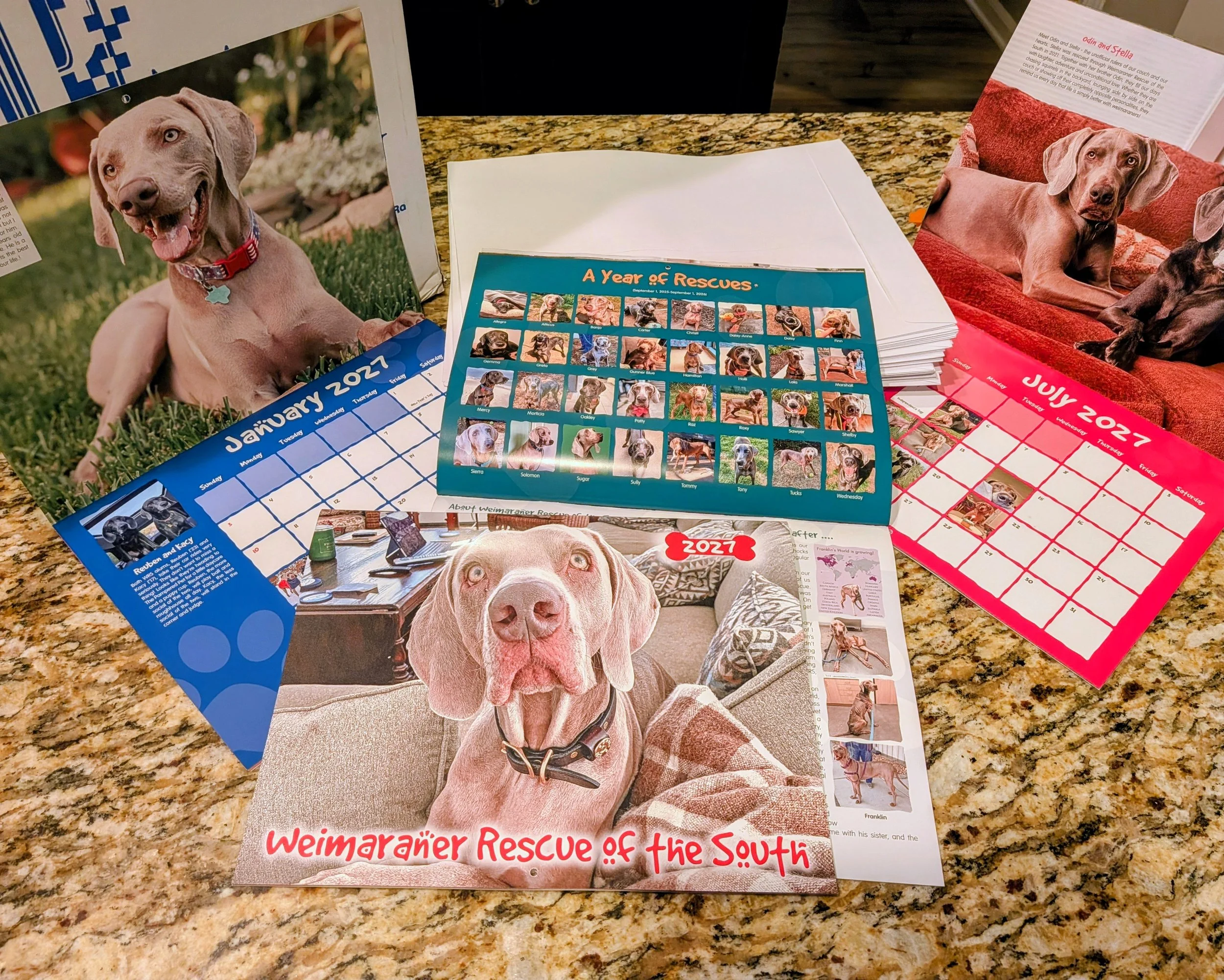 2027 calendars for sale.jpg