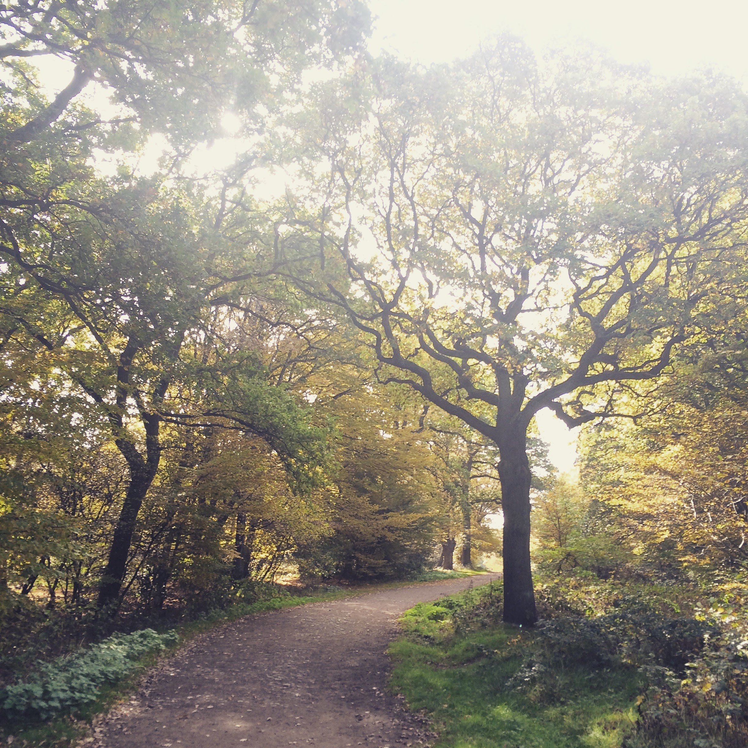 Another scenic run in South woodford