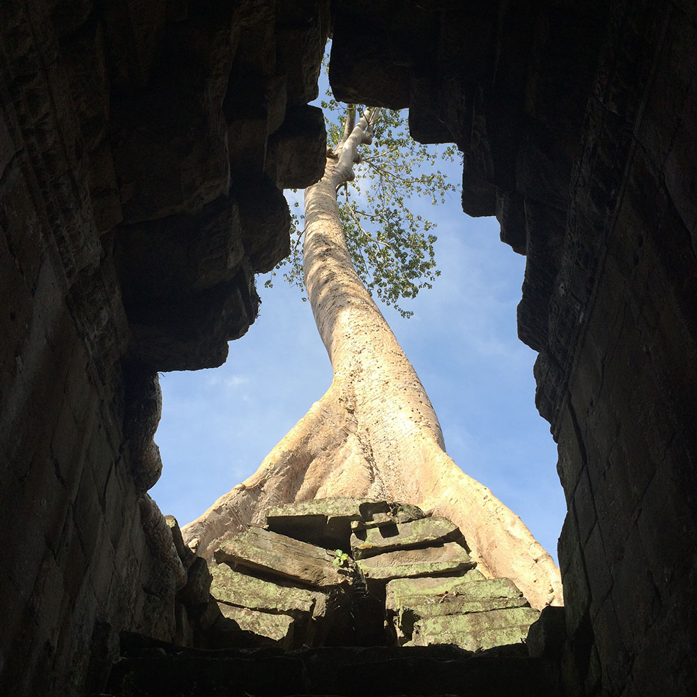 The Tomb Raider temple