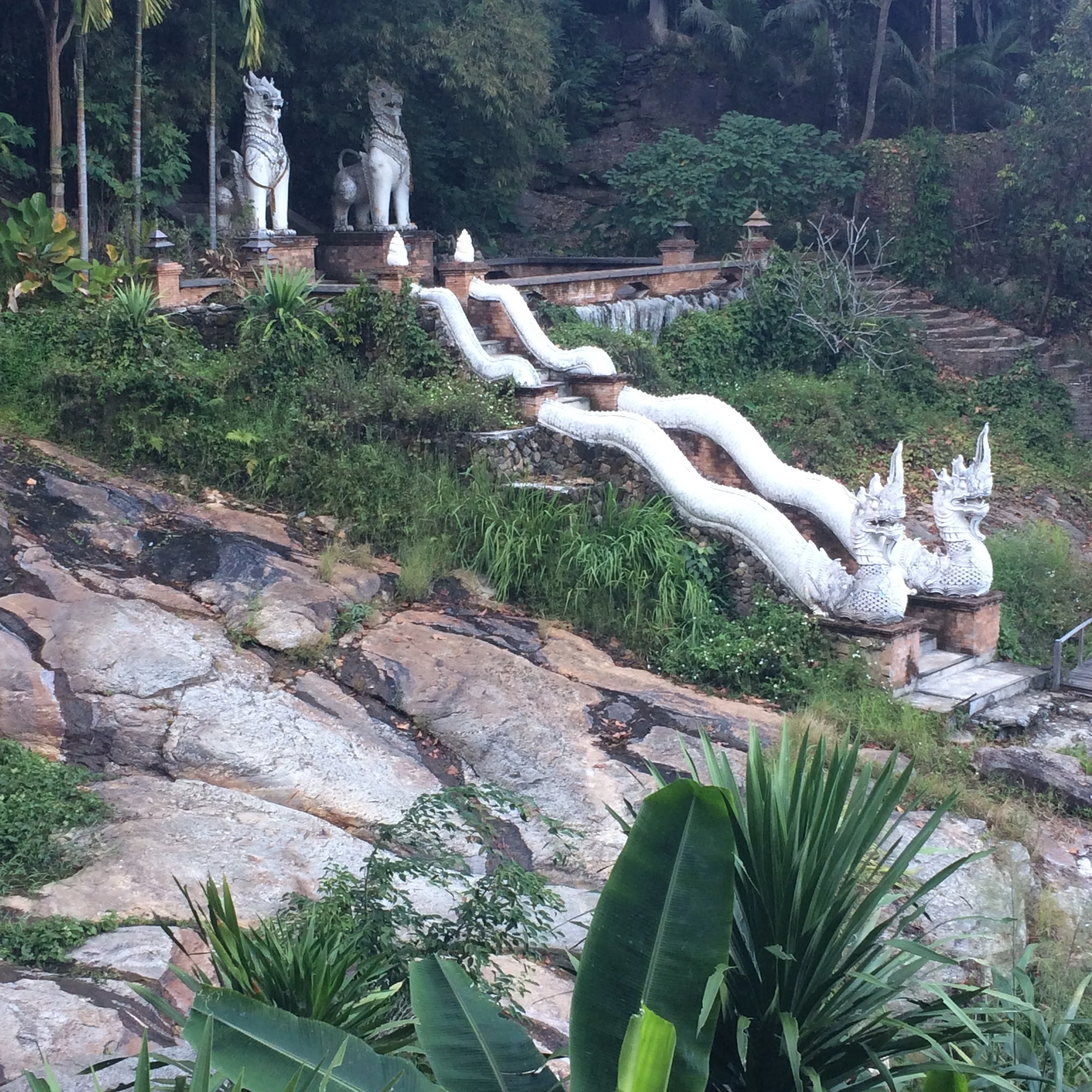 Hiking down Doi Suthep in Chiang Mai