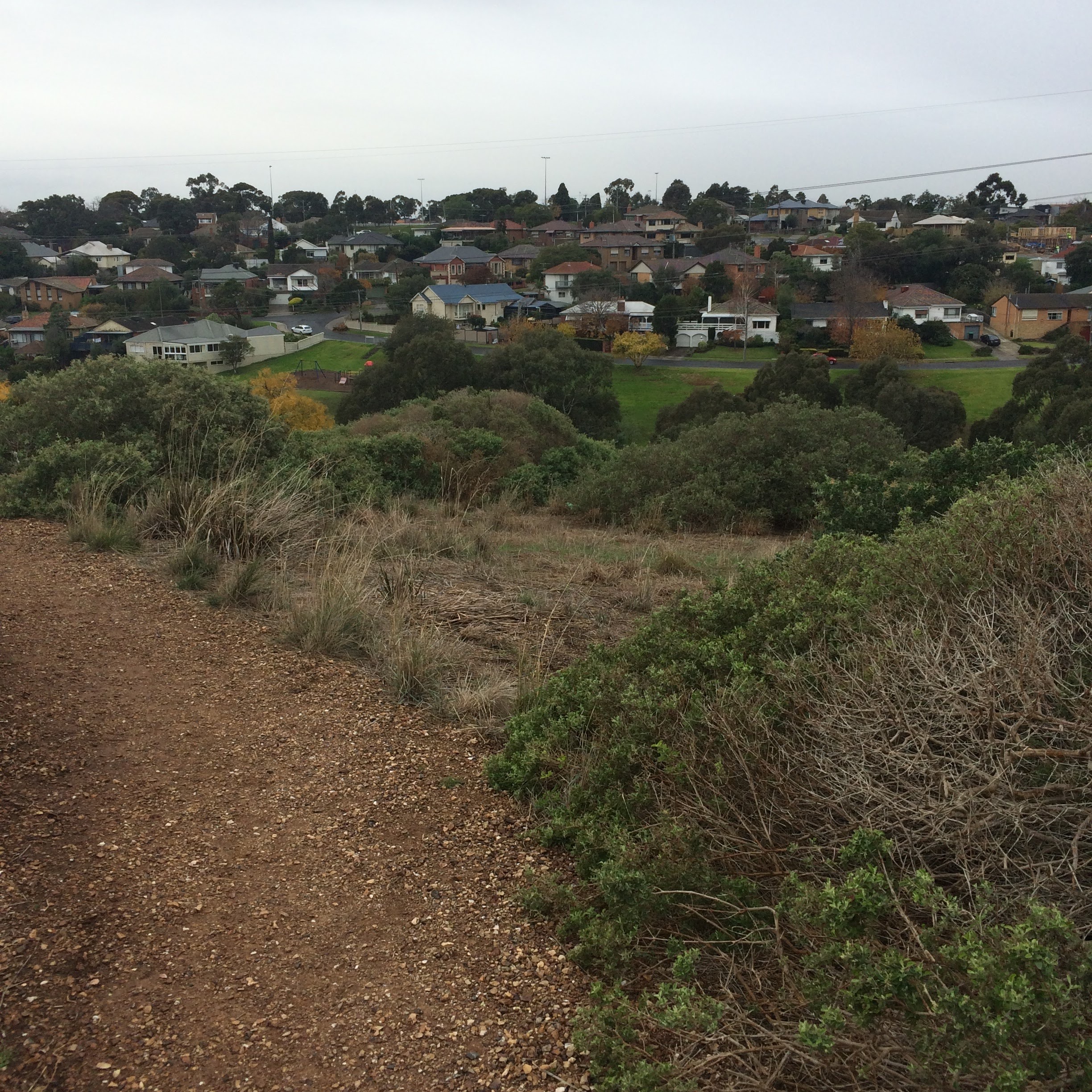 Maribyrnong River Run