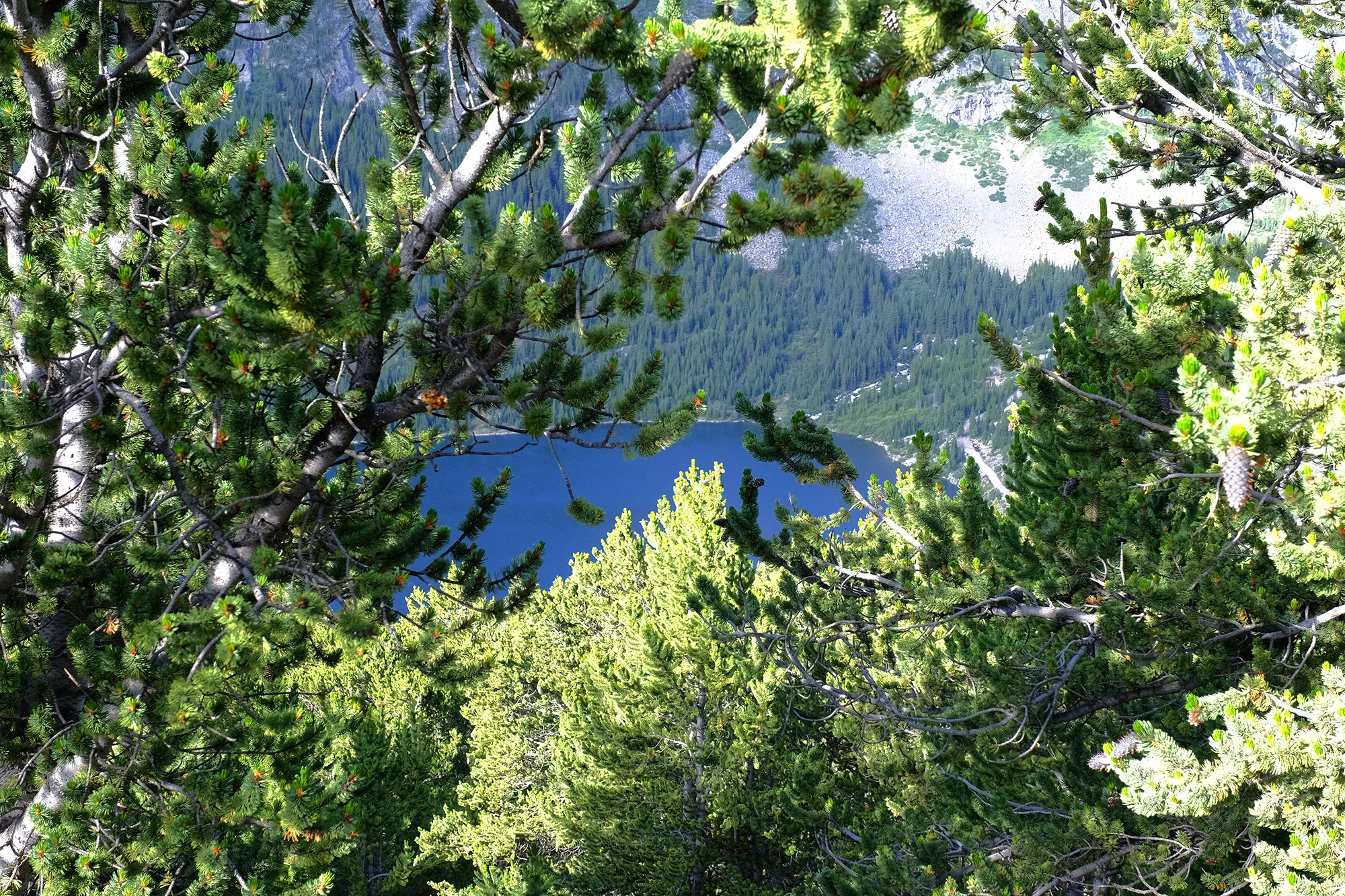  A view from Hoosier Pass National Park&nbsp; 