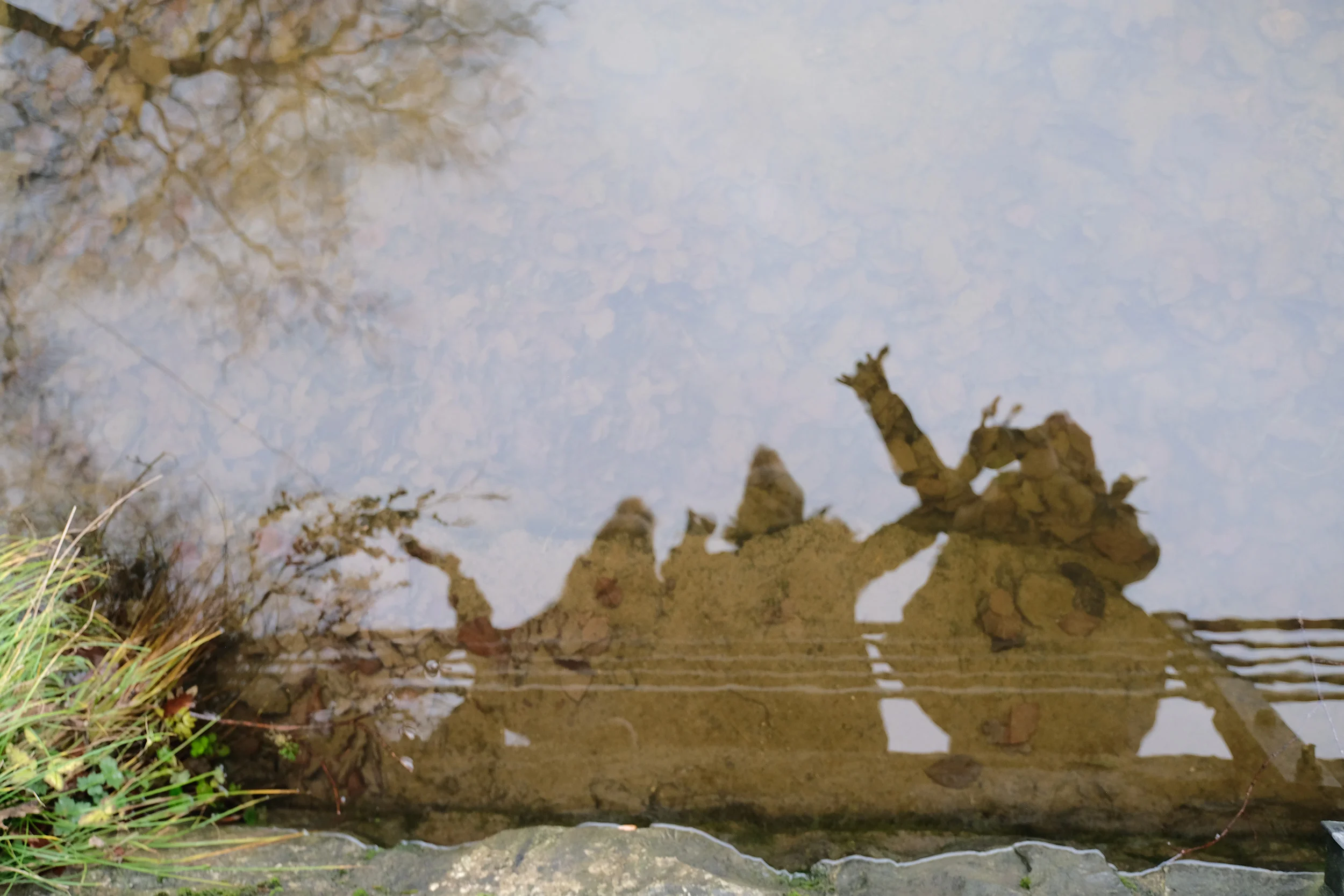 FUX24077-sm.jpg