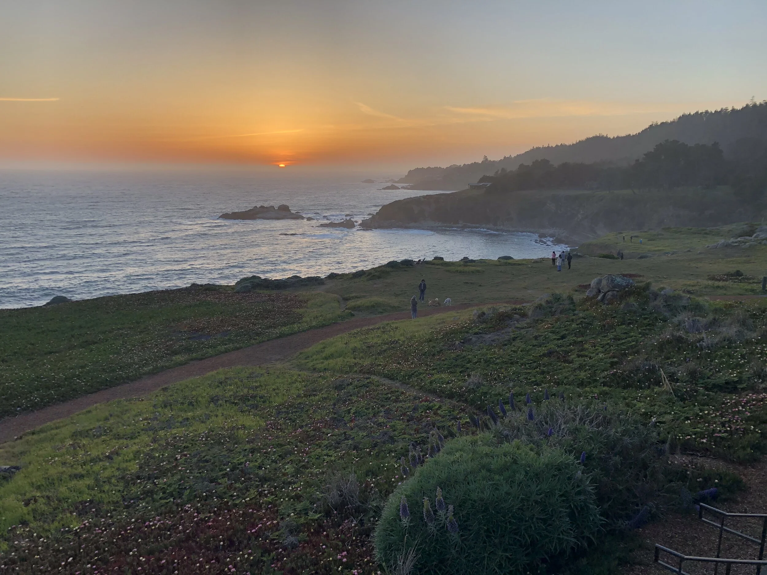 Fancy Hotels and Plush Robes