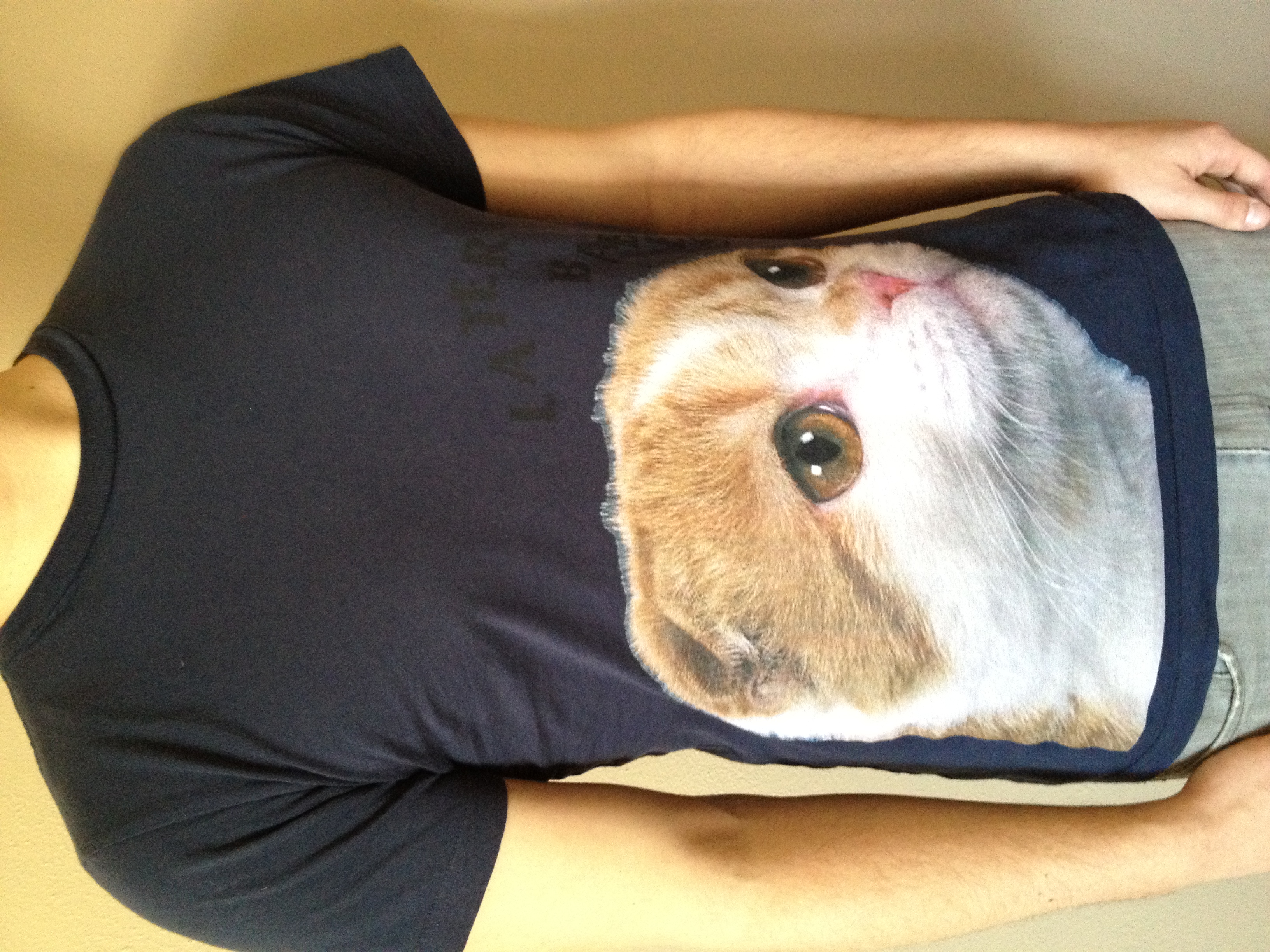 OG cat logo.