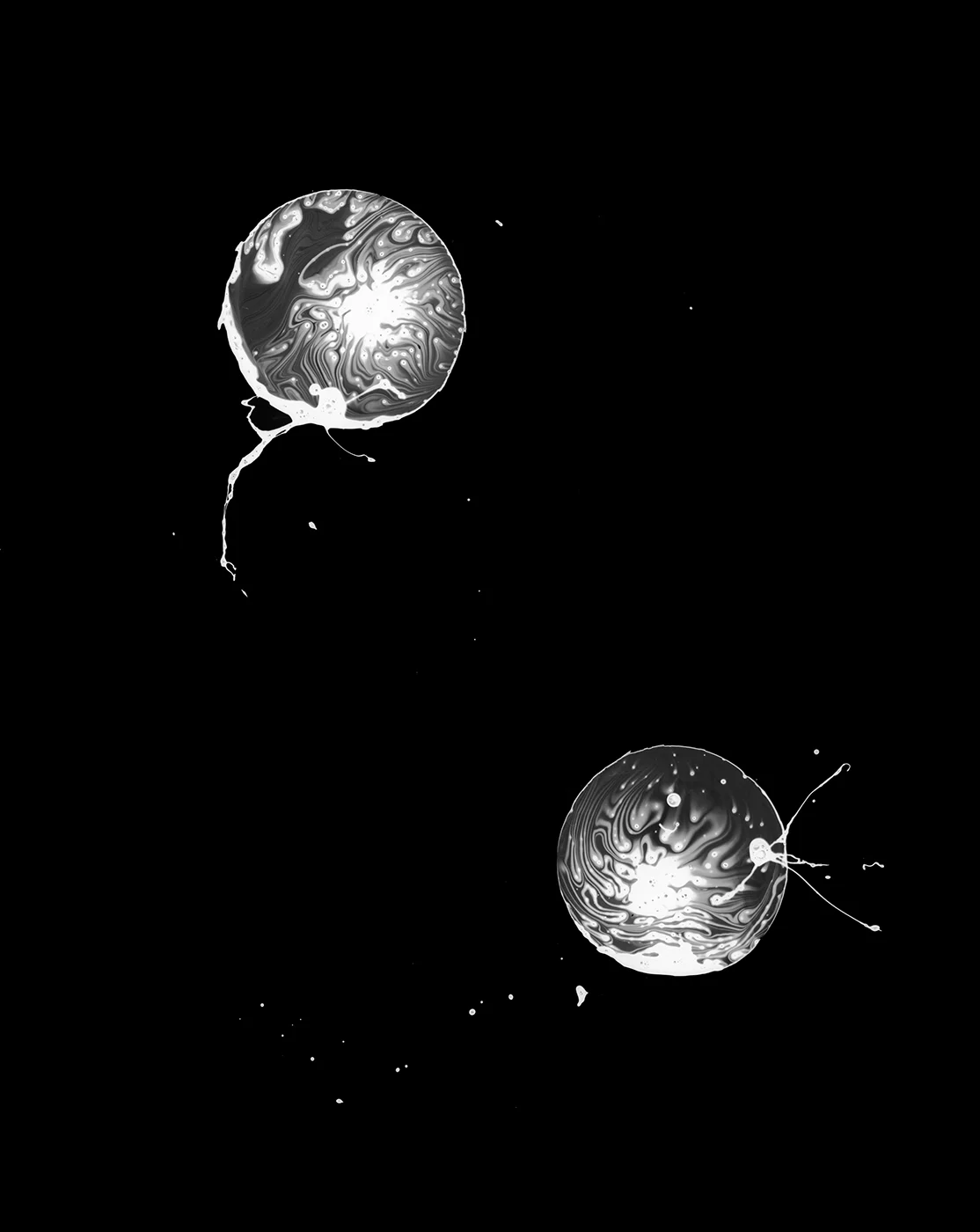 Collins_Plasmids 2_2006_C-print_50x40_$3800.jpg